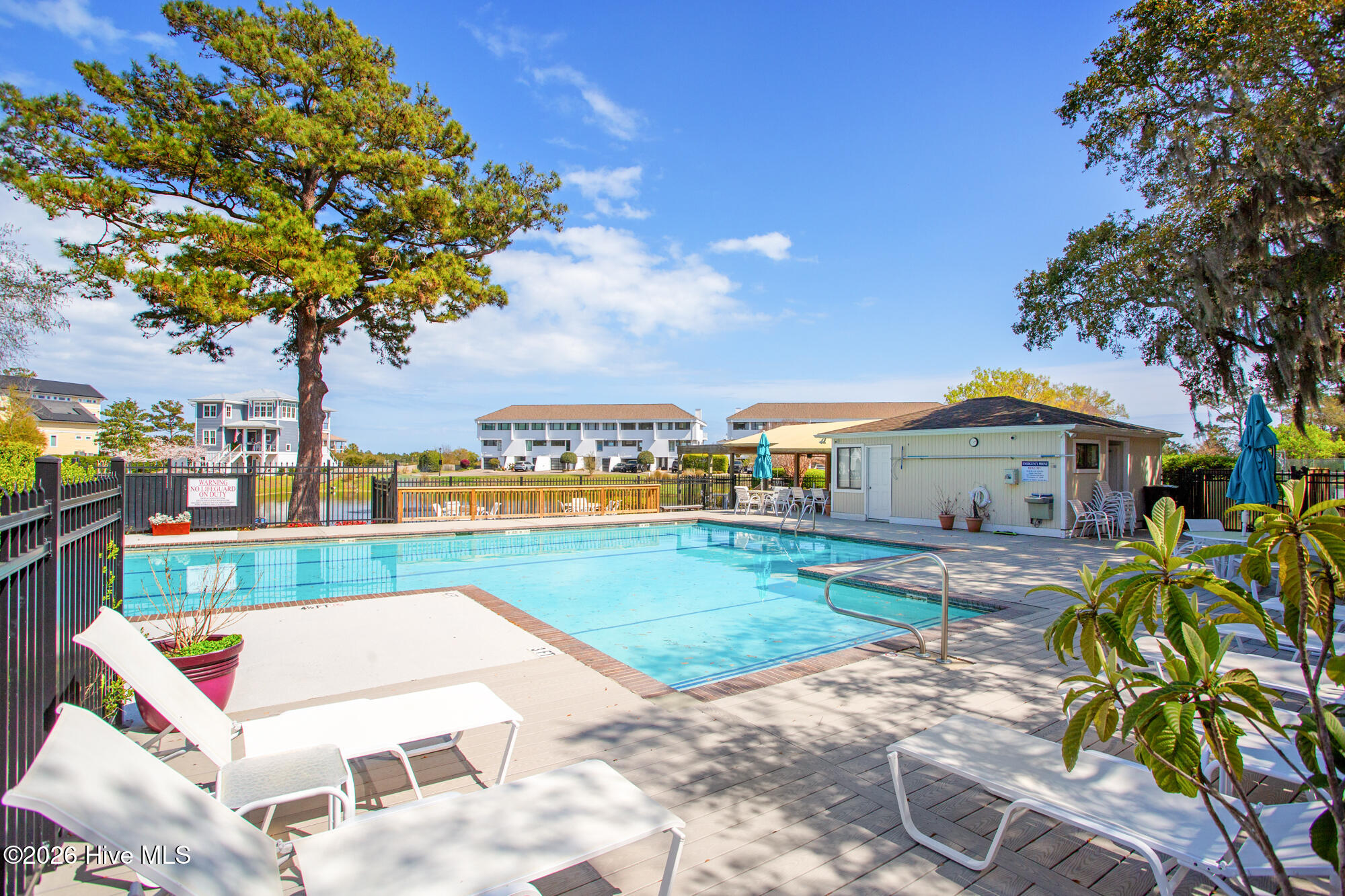 100564405 | Photo 32