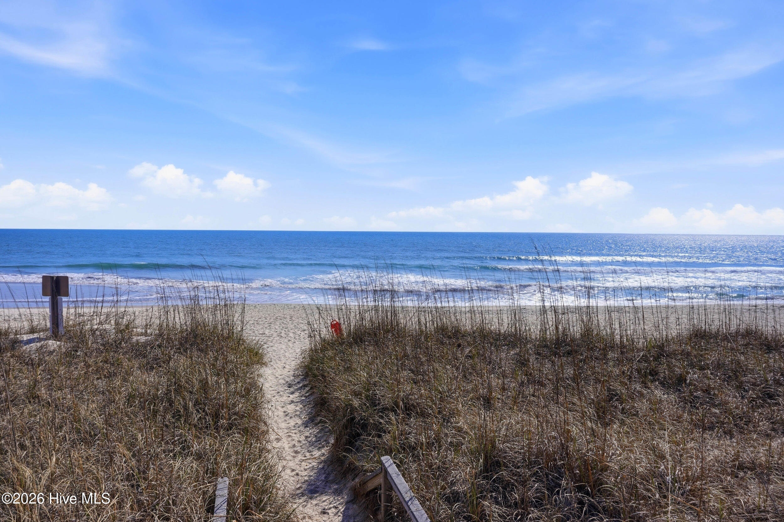 100559989 | Photo 67