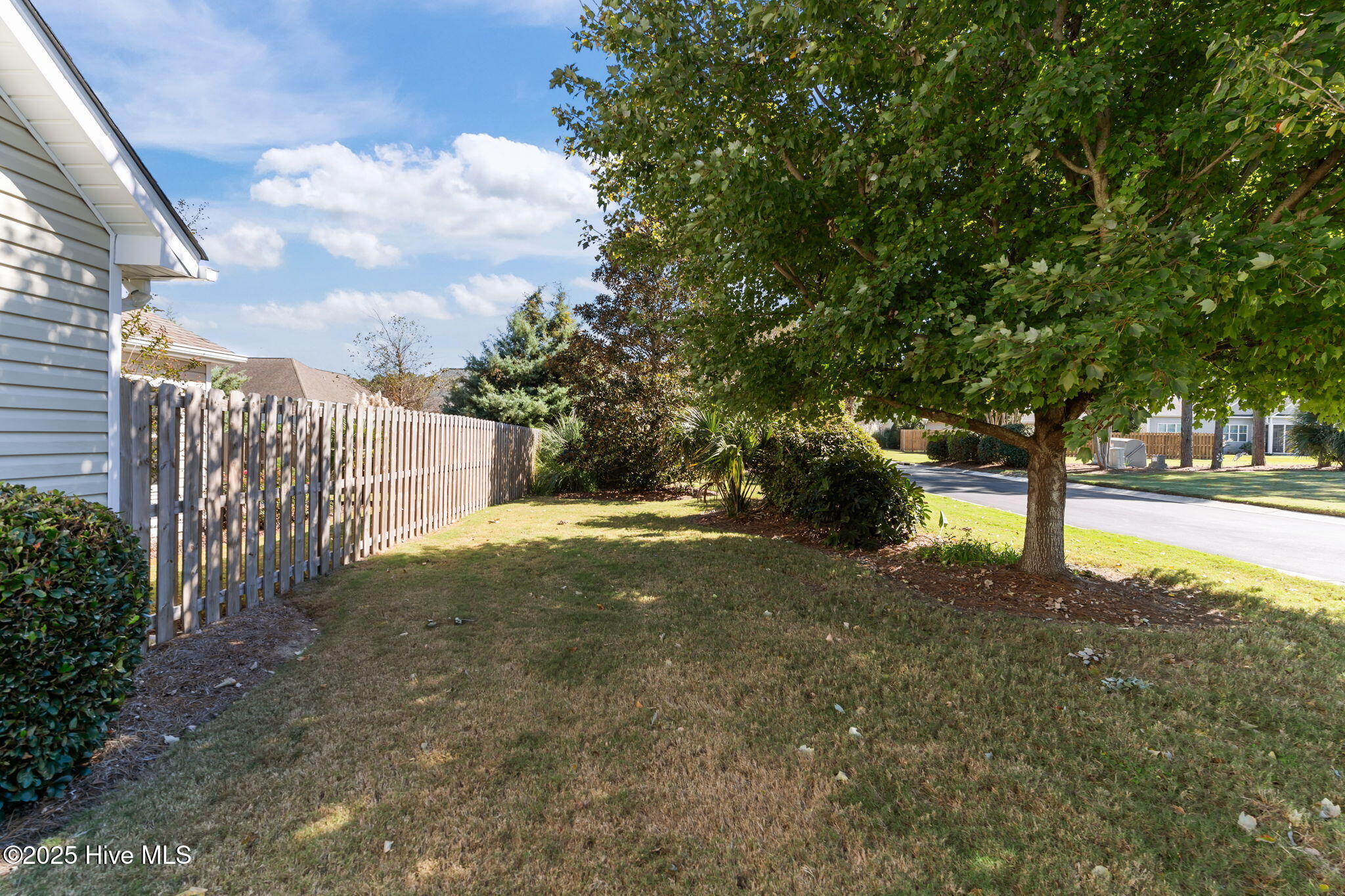 100537939 | Photo 28