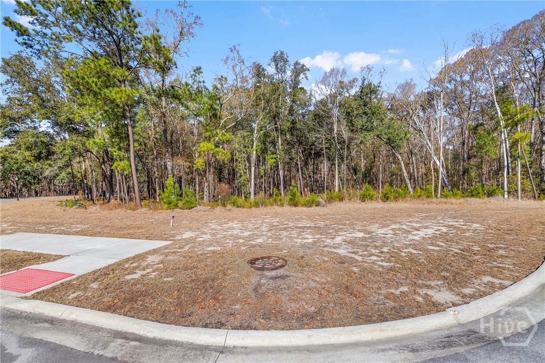 Homes for sale in Pooler, GA | 154 Wood Haven Ln, Pooler, GA 31322 | MLS# SA350599