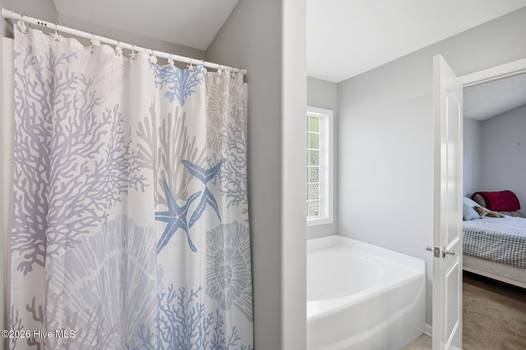 100567887 | Photo 21