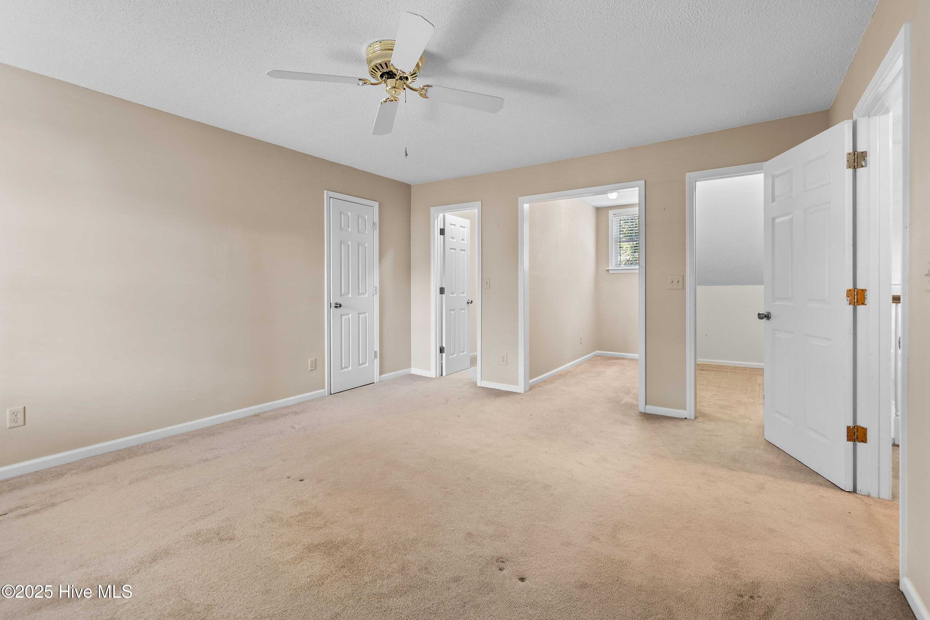 100537451 | Photo 15