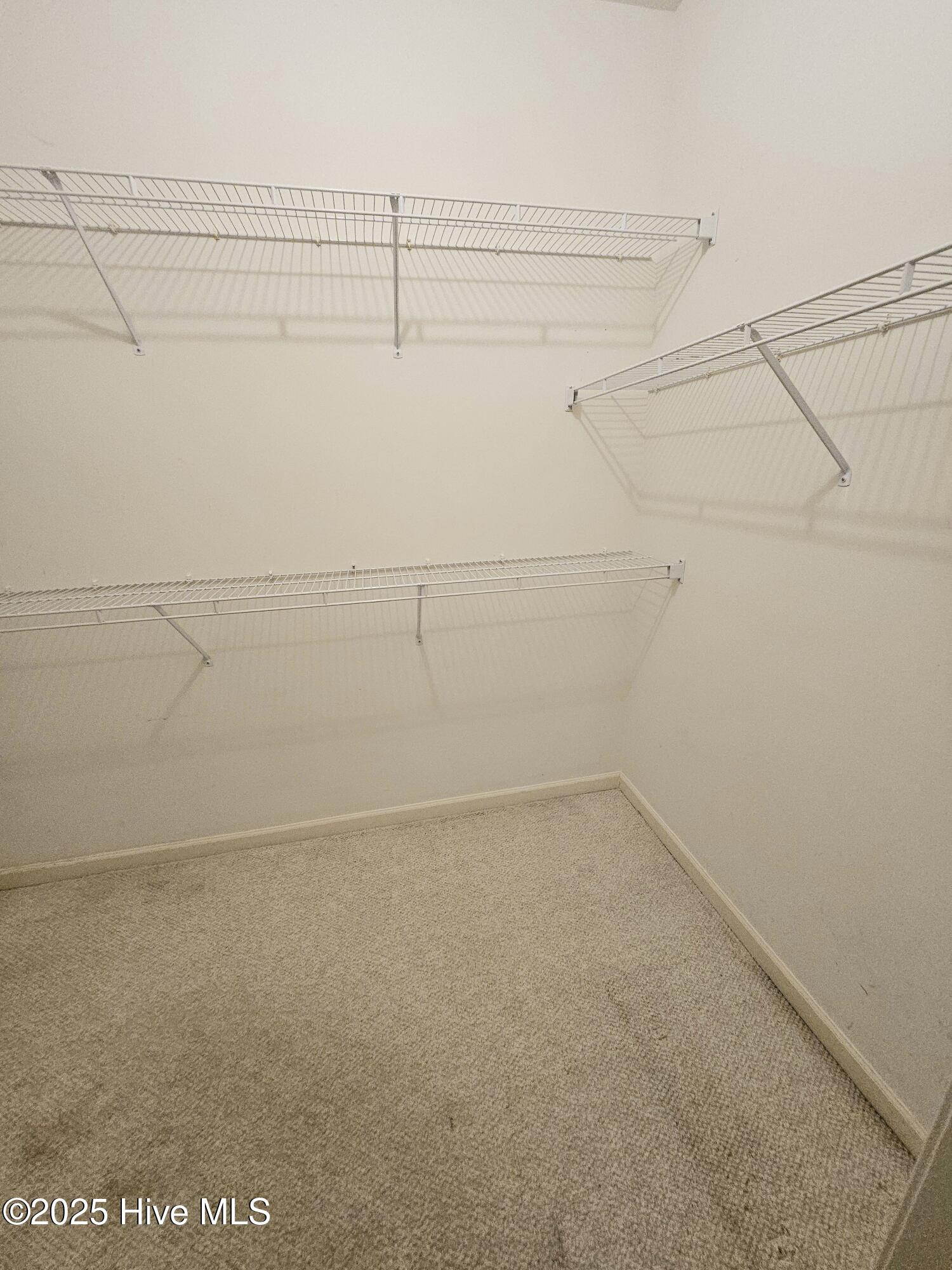 100536012 | Photo 14