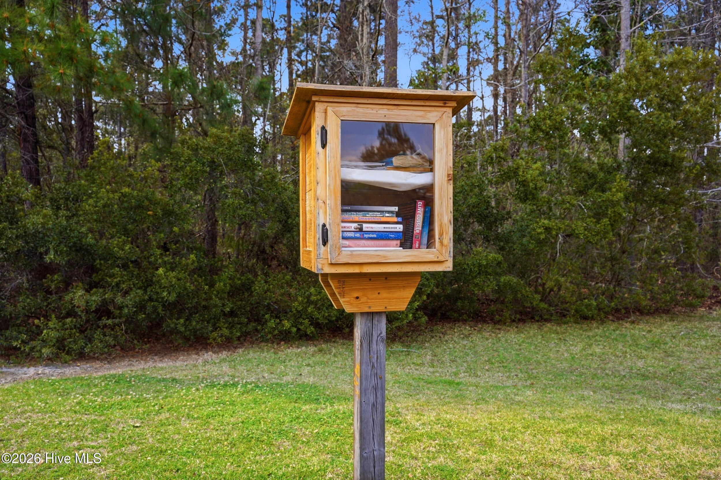 100562435 | Photo 50