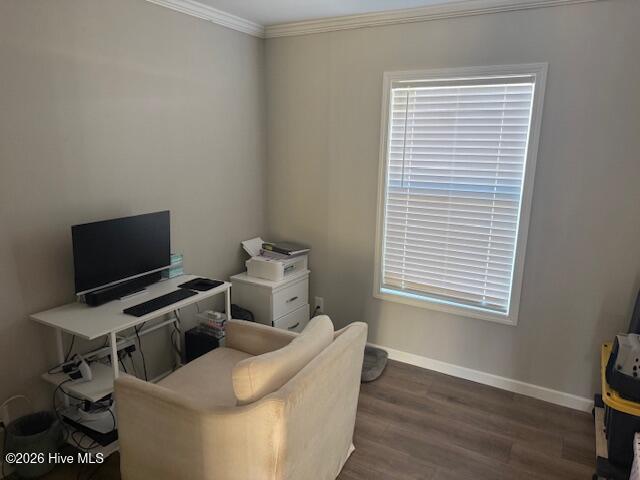 100555243 | Photo 37