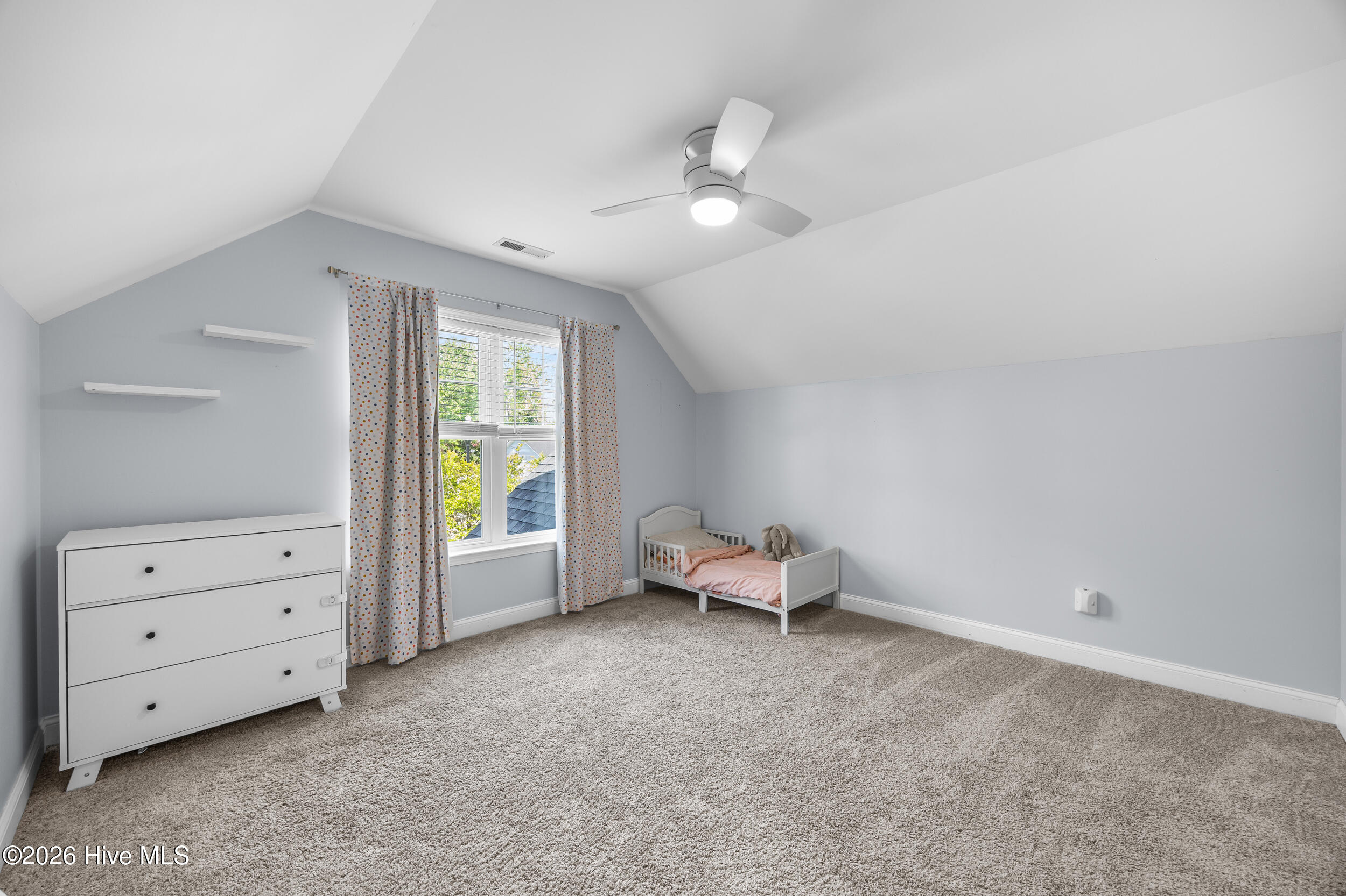 100565934 | Photo 19