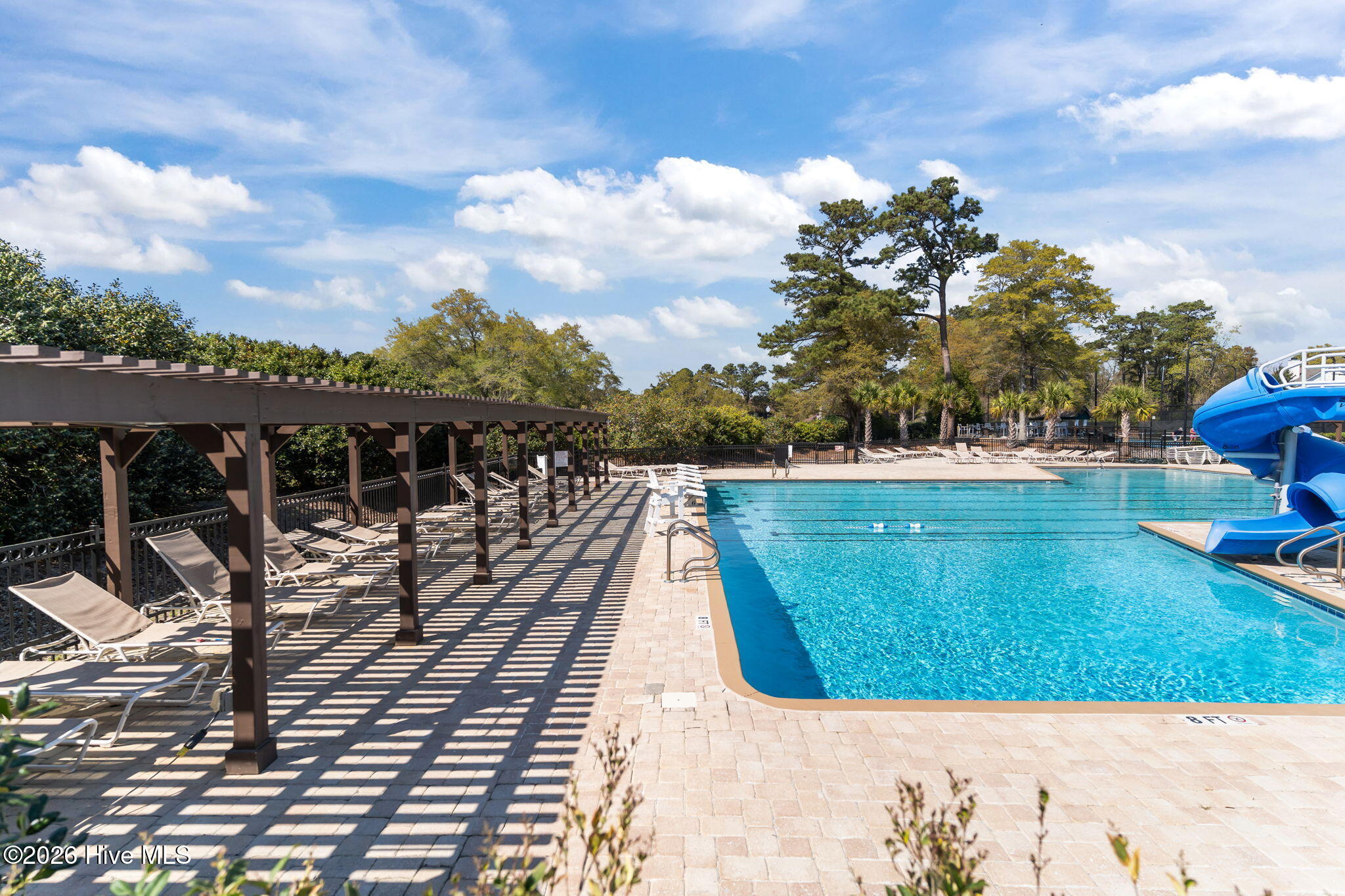 100564418 | Photo 71