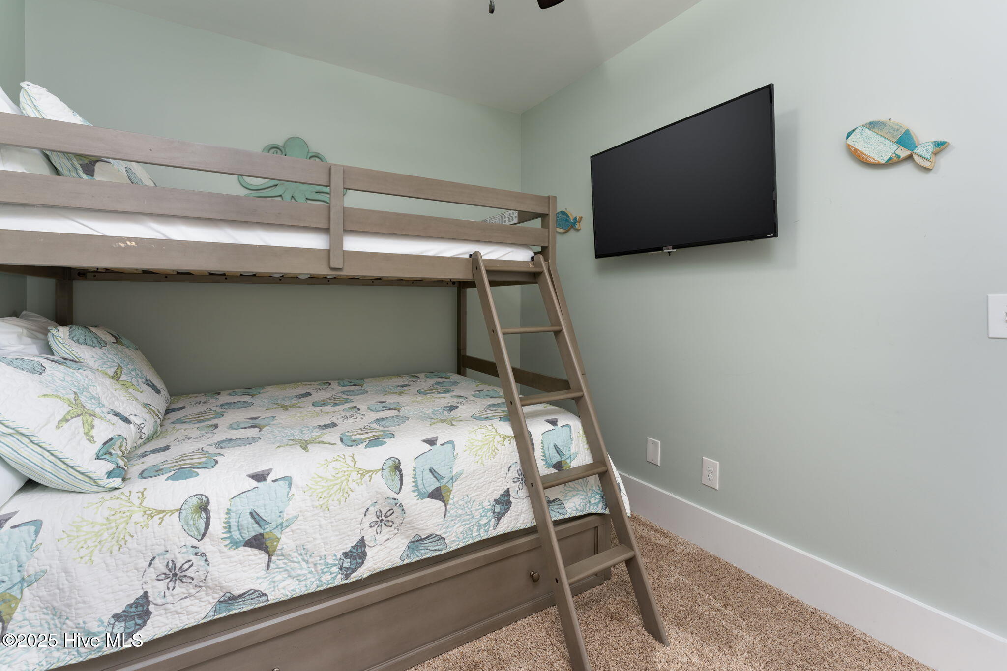 100537095 | Photo 47