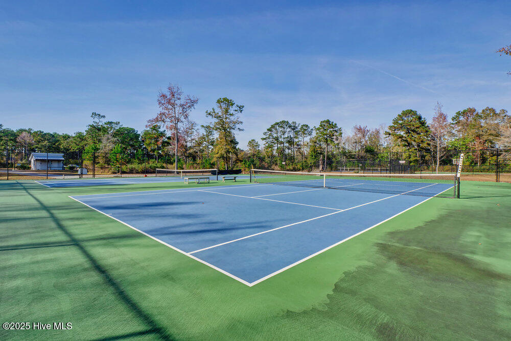 100537011 | Photo 121