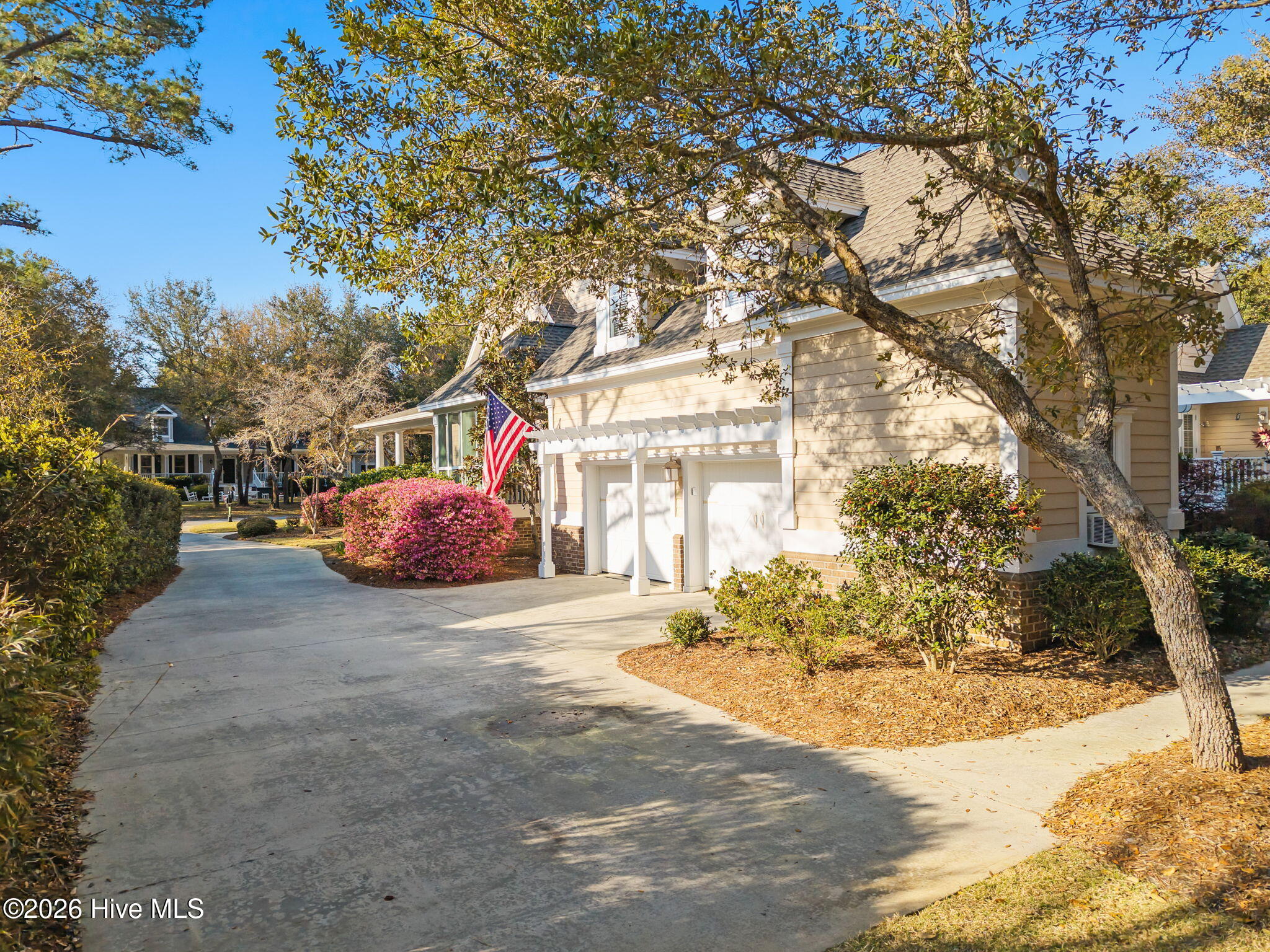 100563336 | Photo 54