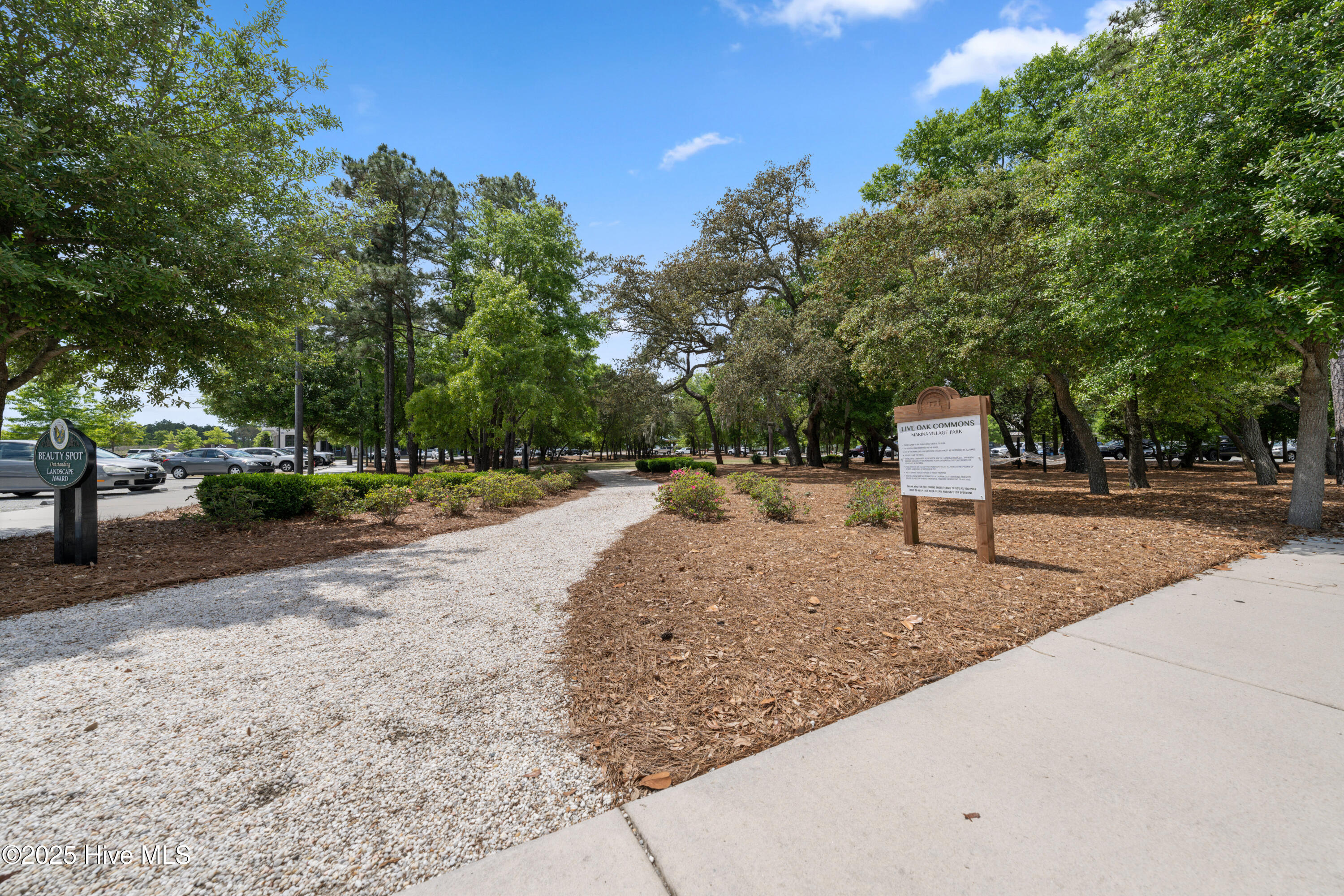 100526645 | Photo 74