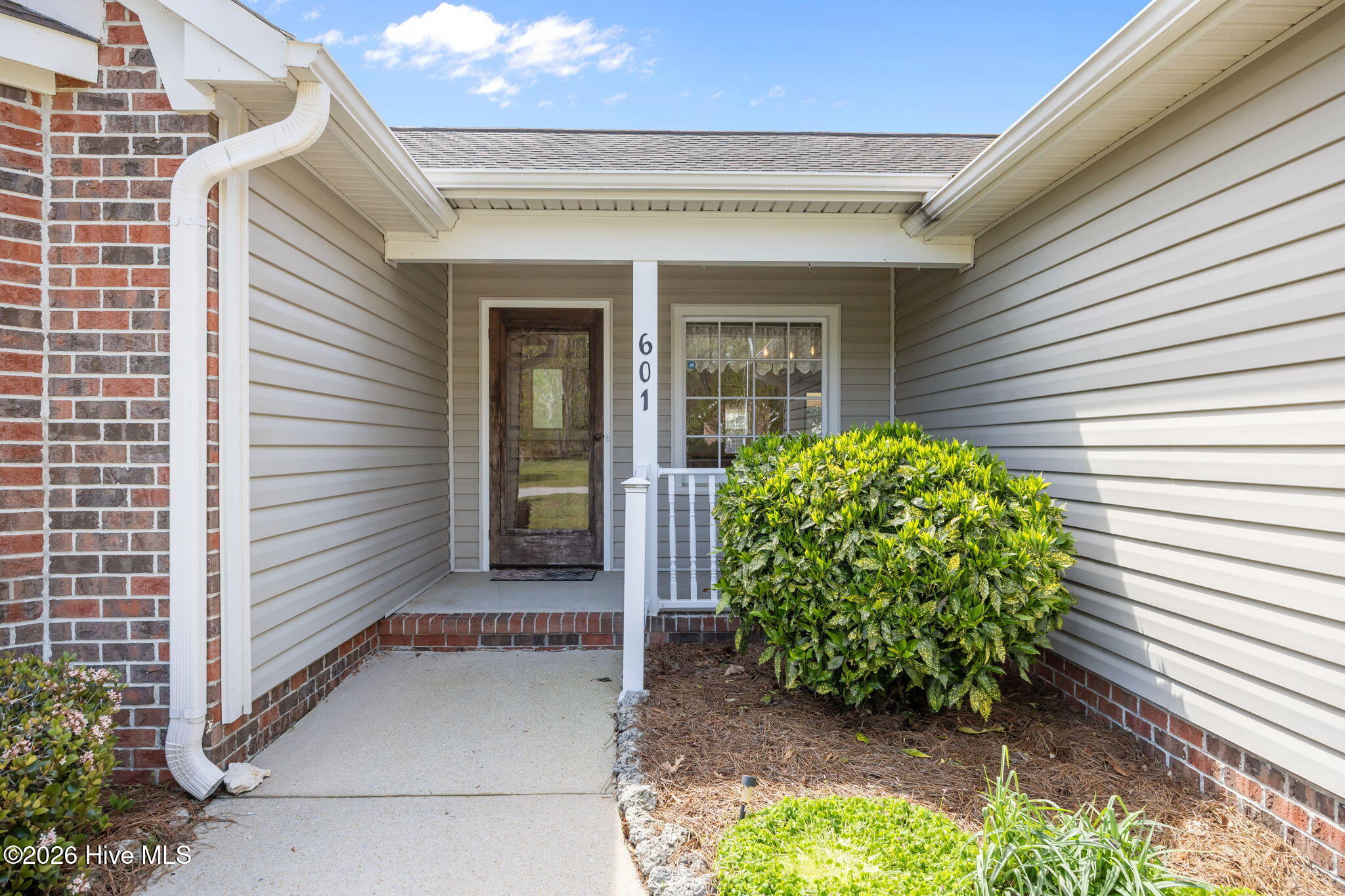 100565742 | Photo 45