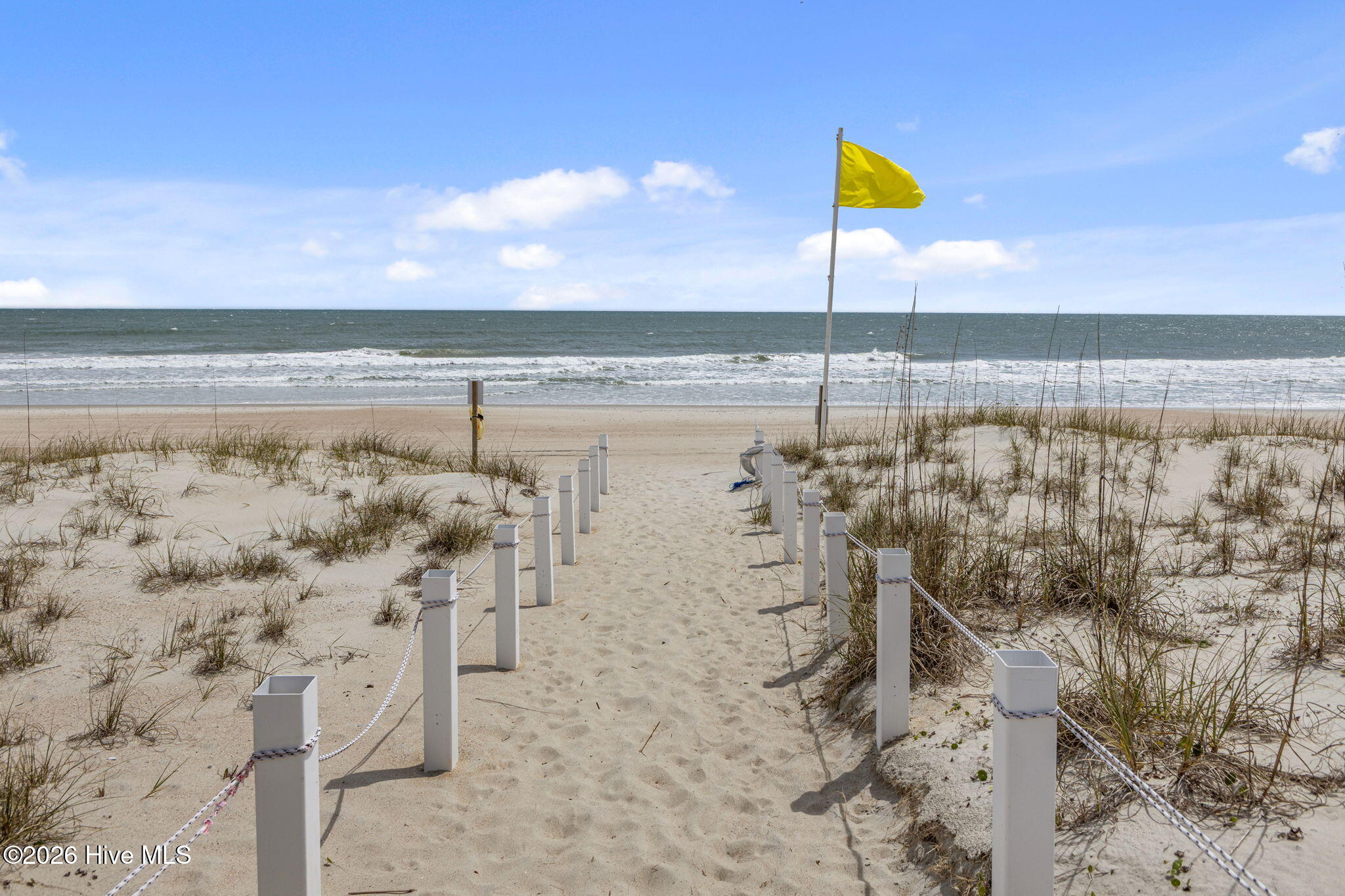 100564896 | Photo 24