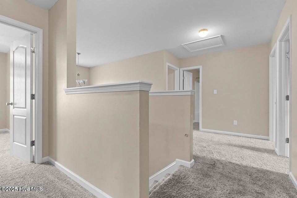 100530427 | Photo 10