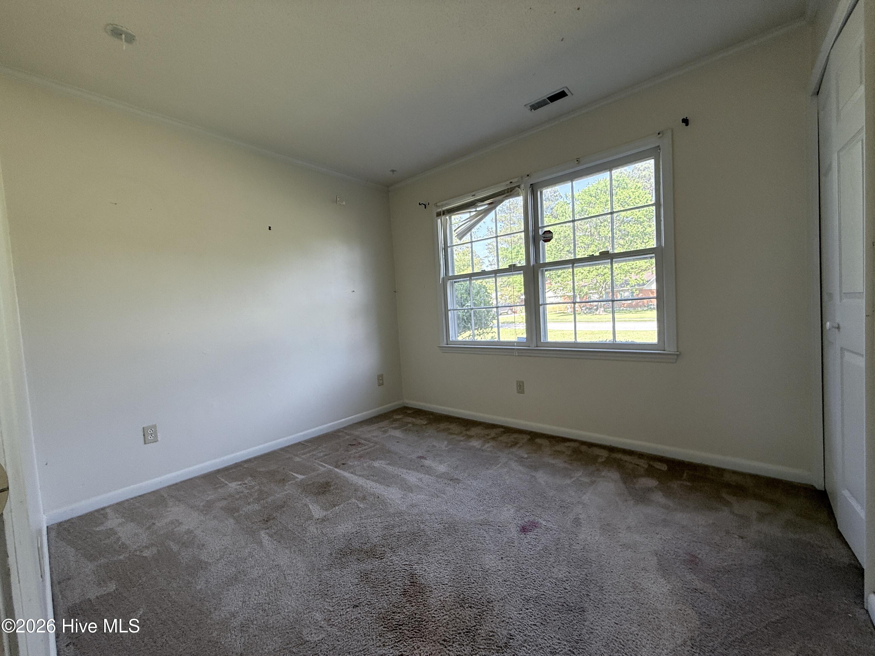 100567327 | Photo 11