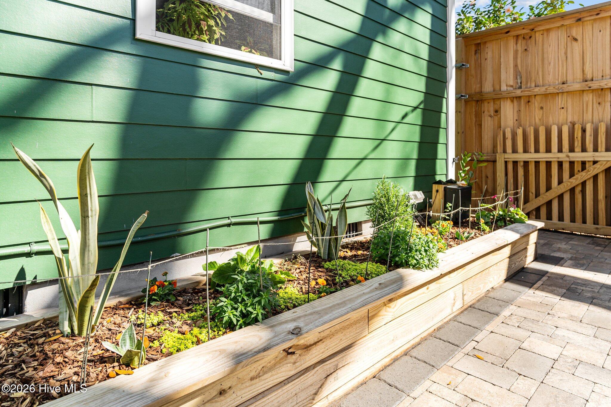 100557813 | Photo 54