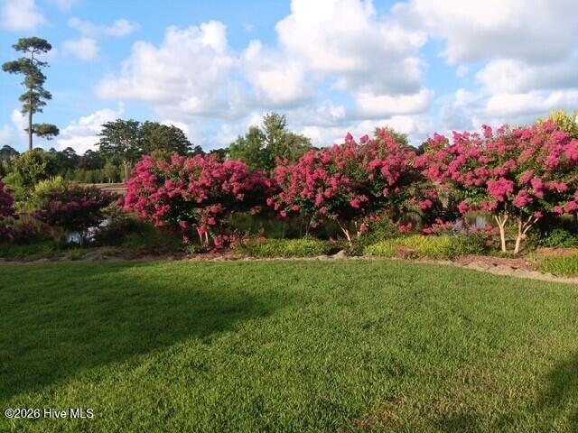 100561215 | Photo 26