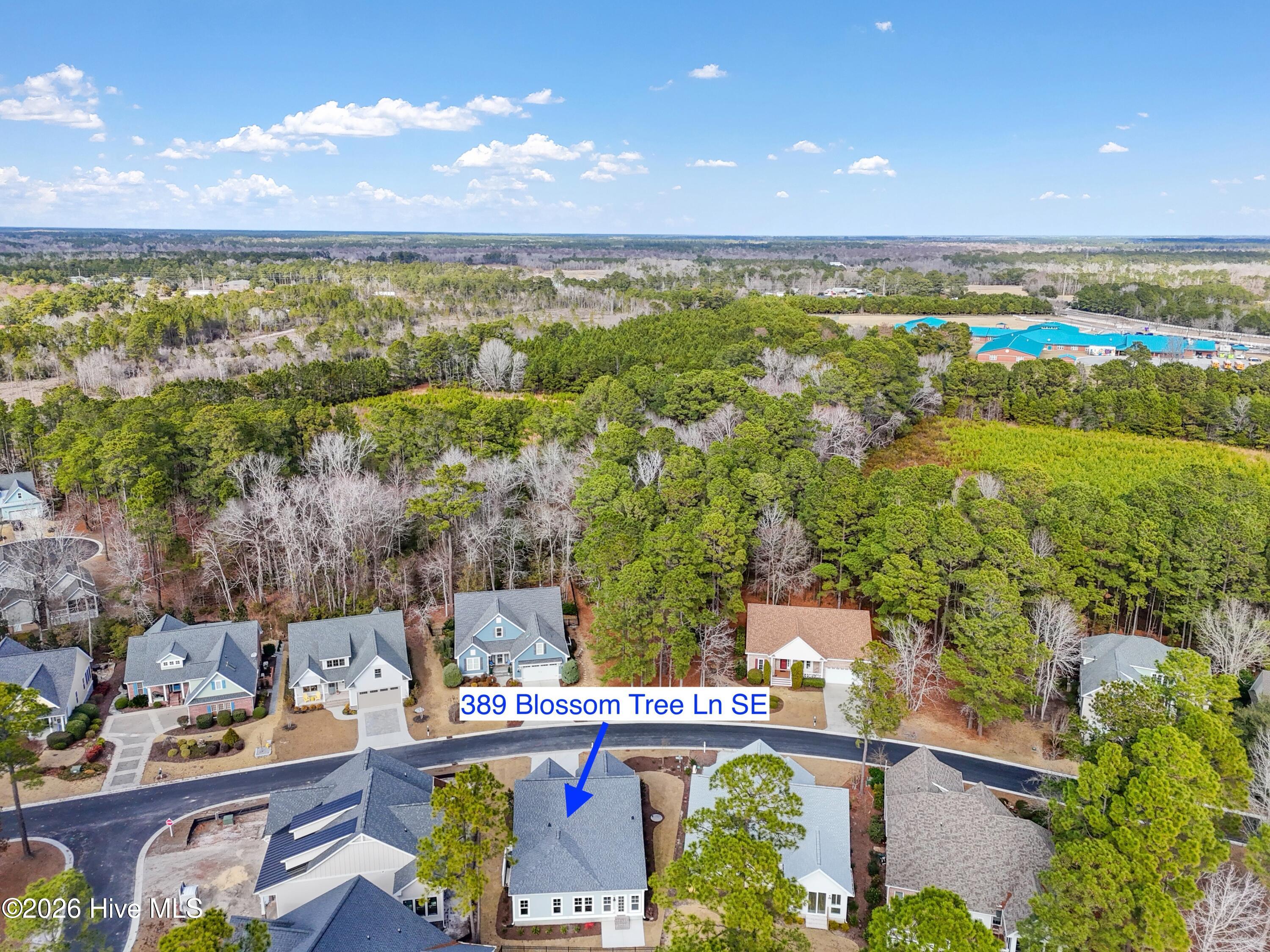 100533287 | Photo 41