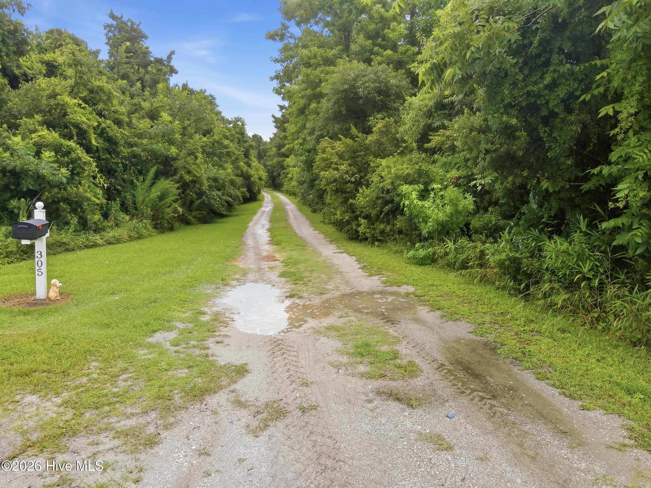 305 Tropical Trail,Beaufort