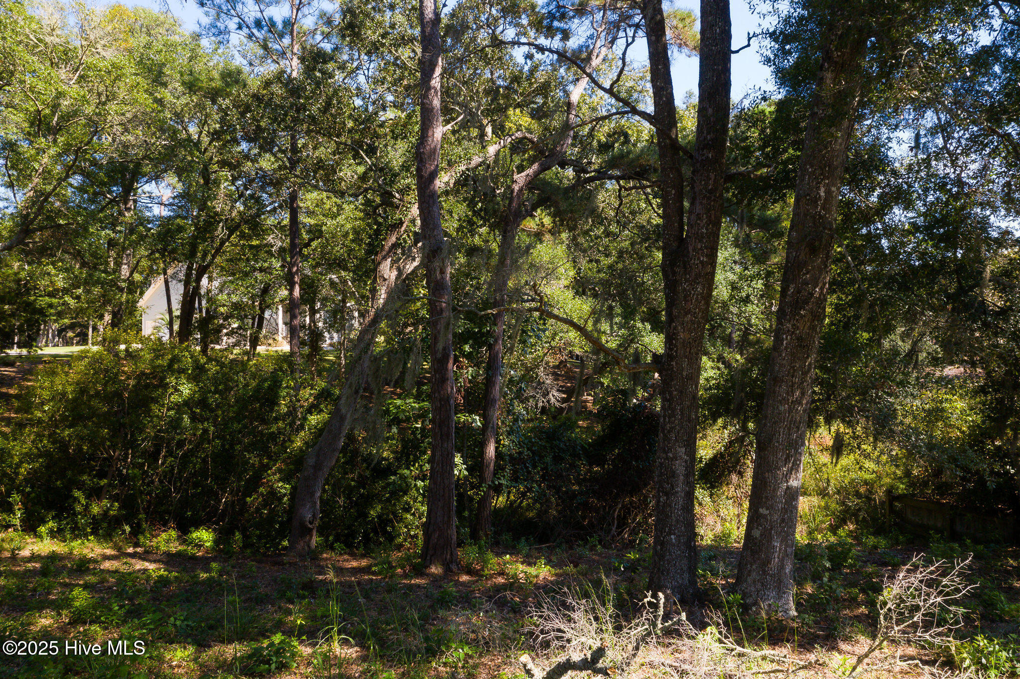 1884_Russellhewett-8