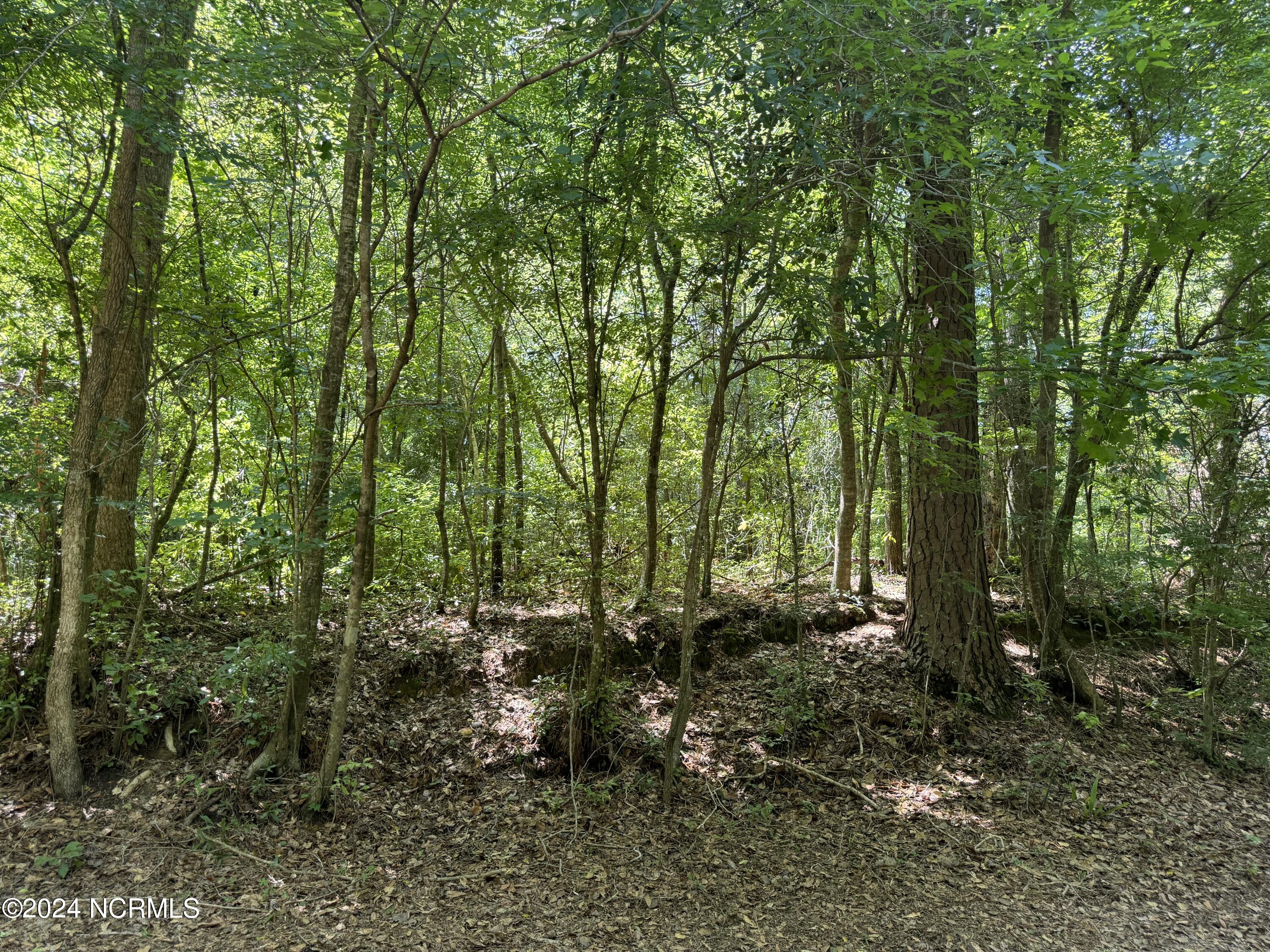 100524408 | Photo 40