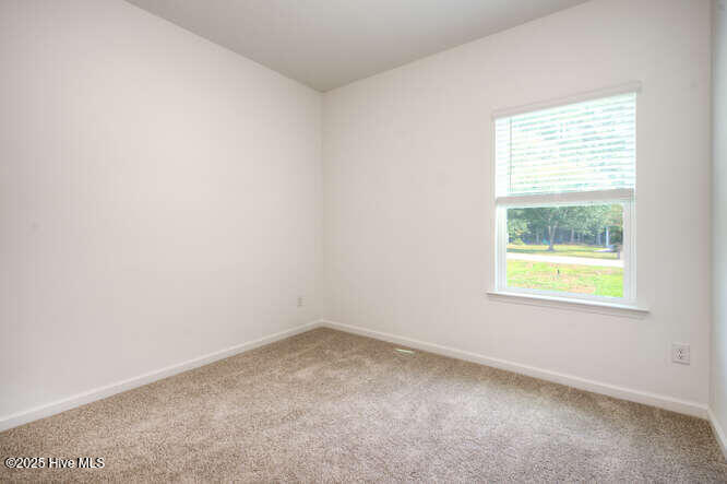 100527327 | Photo 30