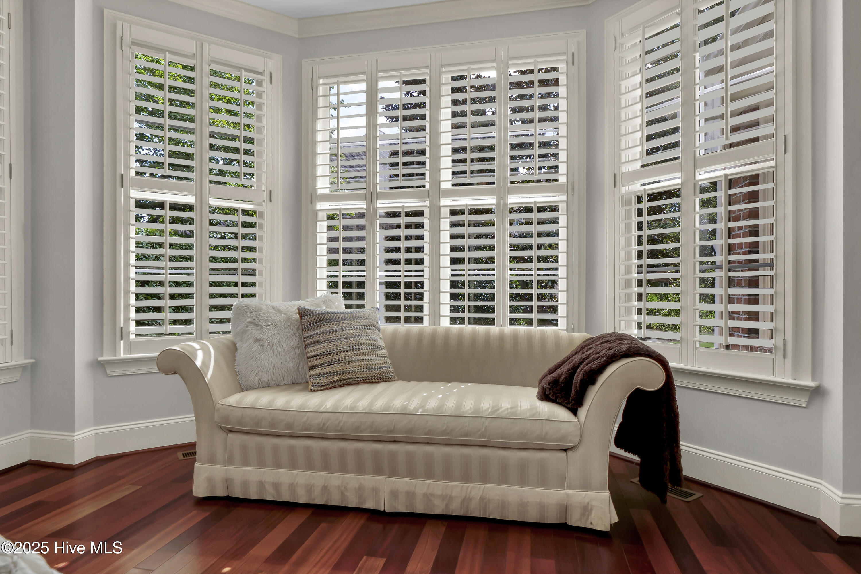 100535642 | Photo 31