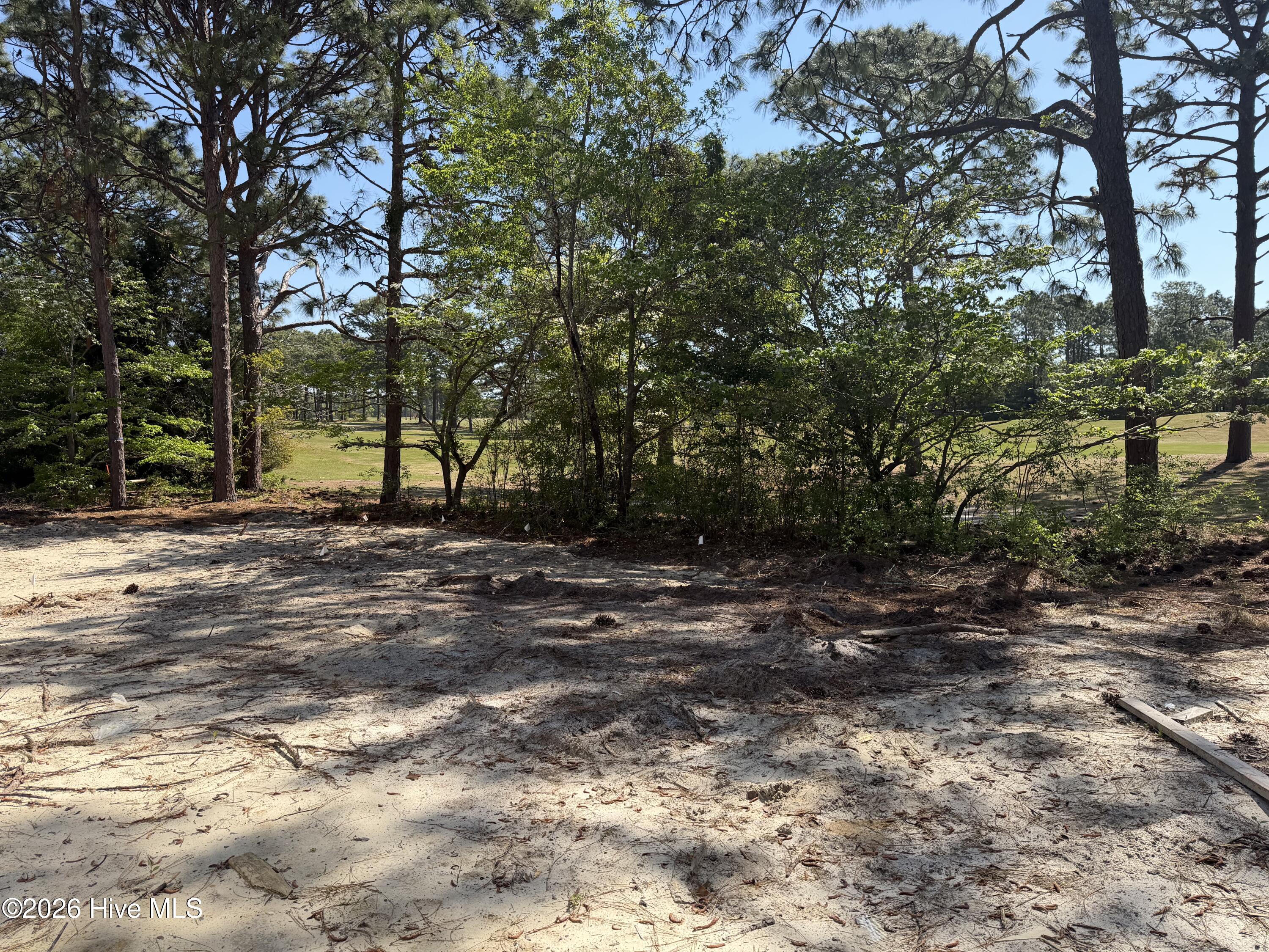 100568393 | Photo 58