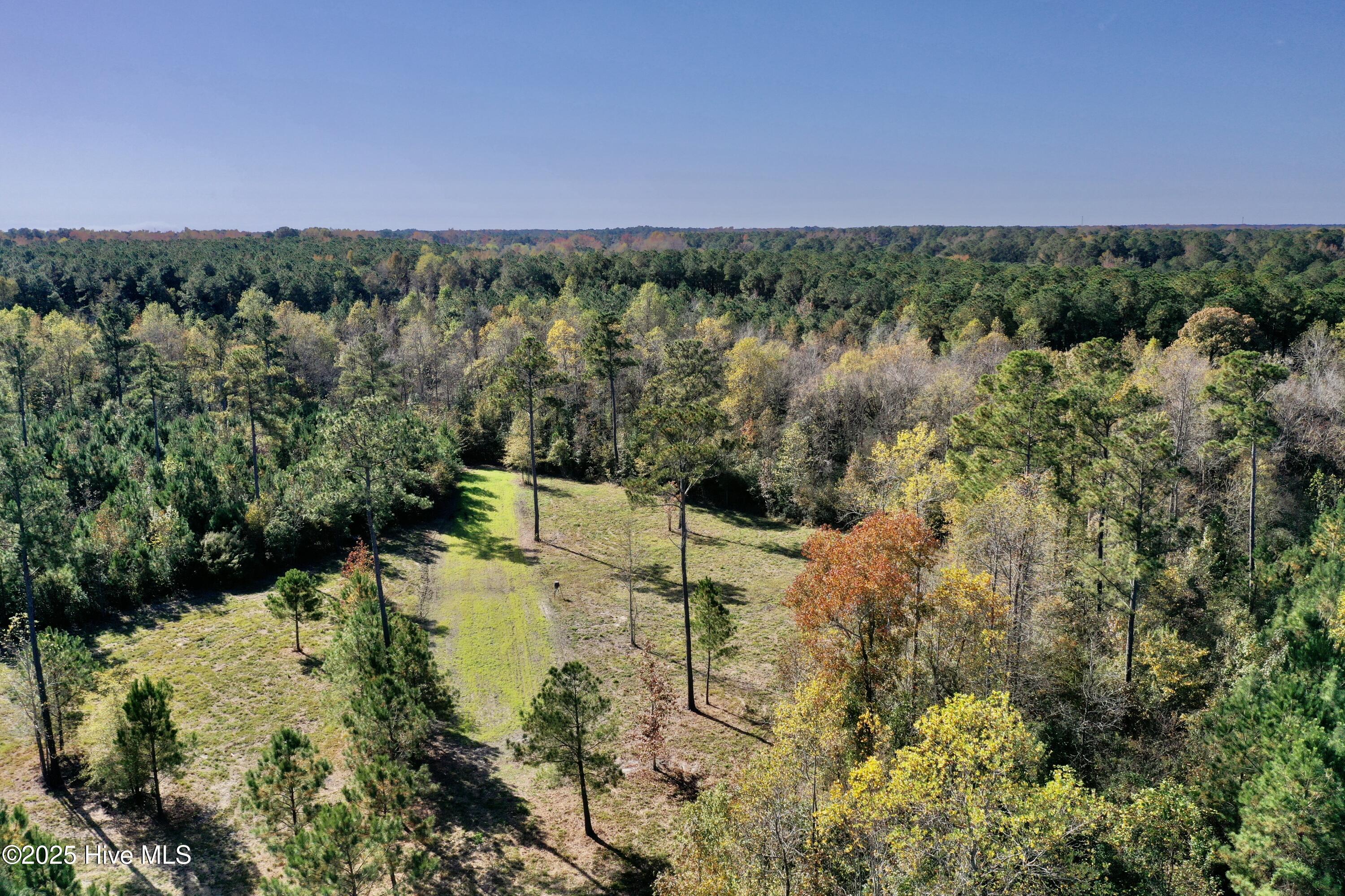 100541845 | Photo 20