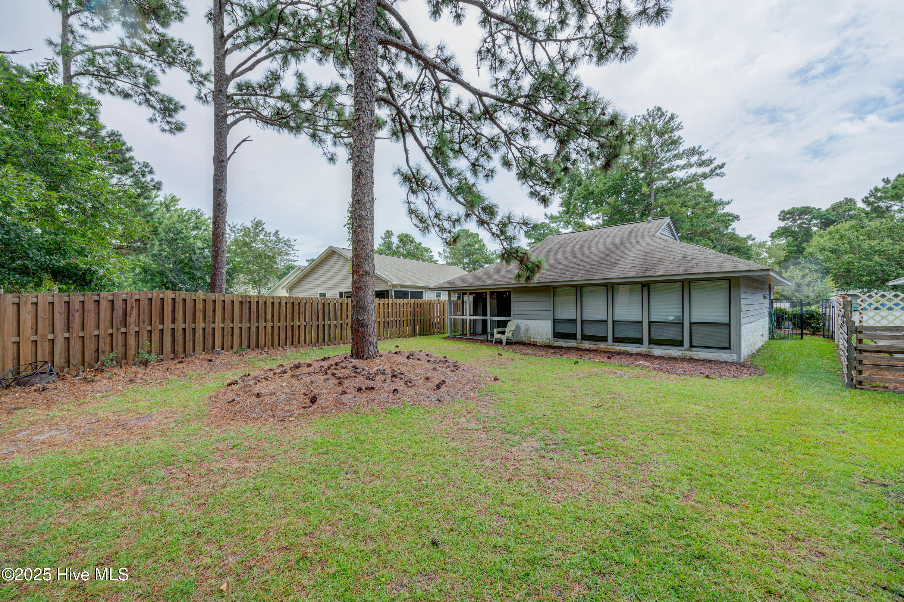 100524399 | Photo 34