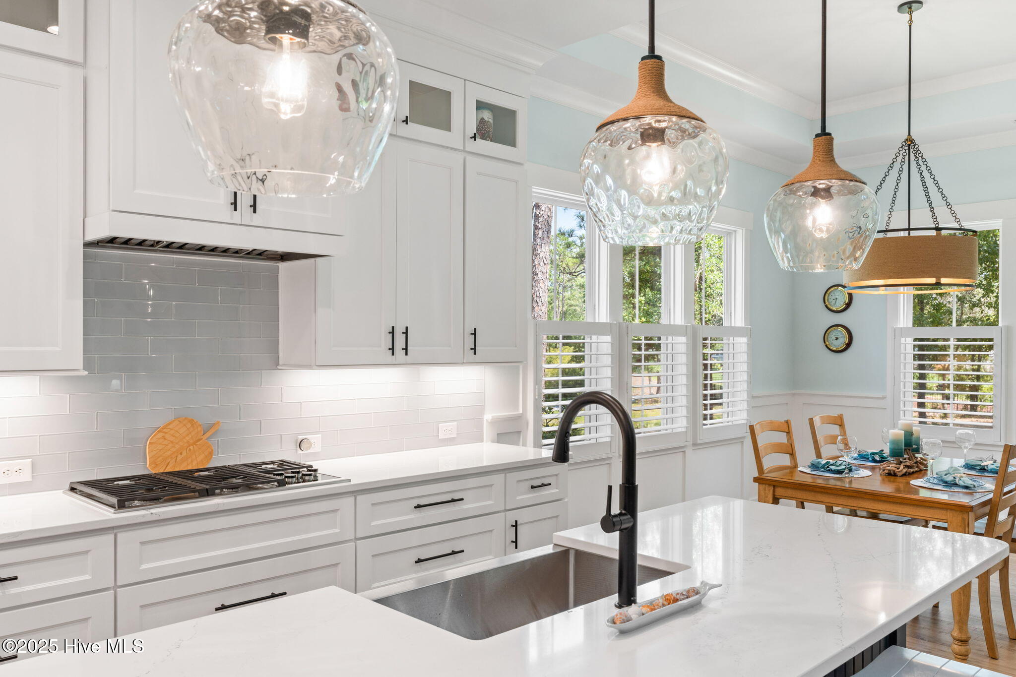 100516887 | Photo 11