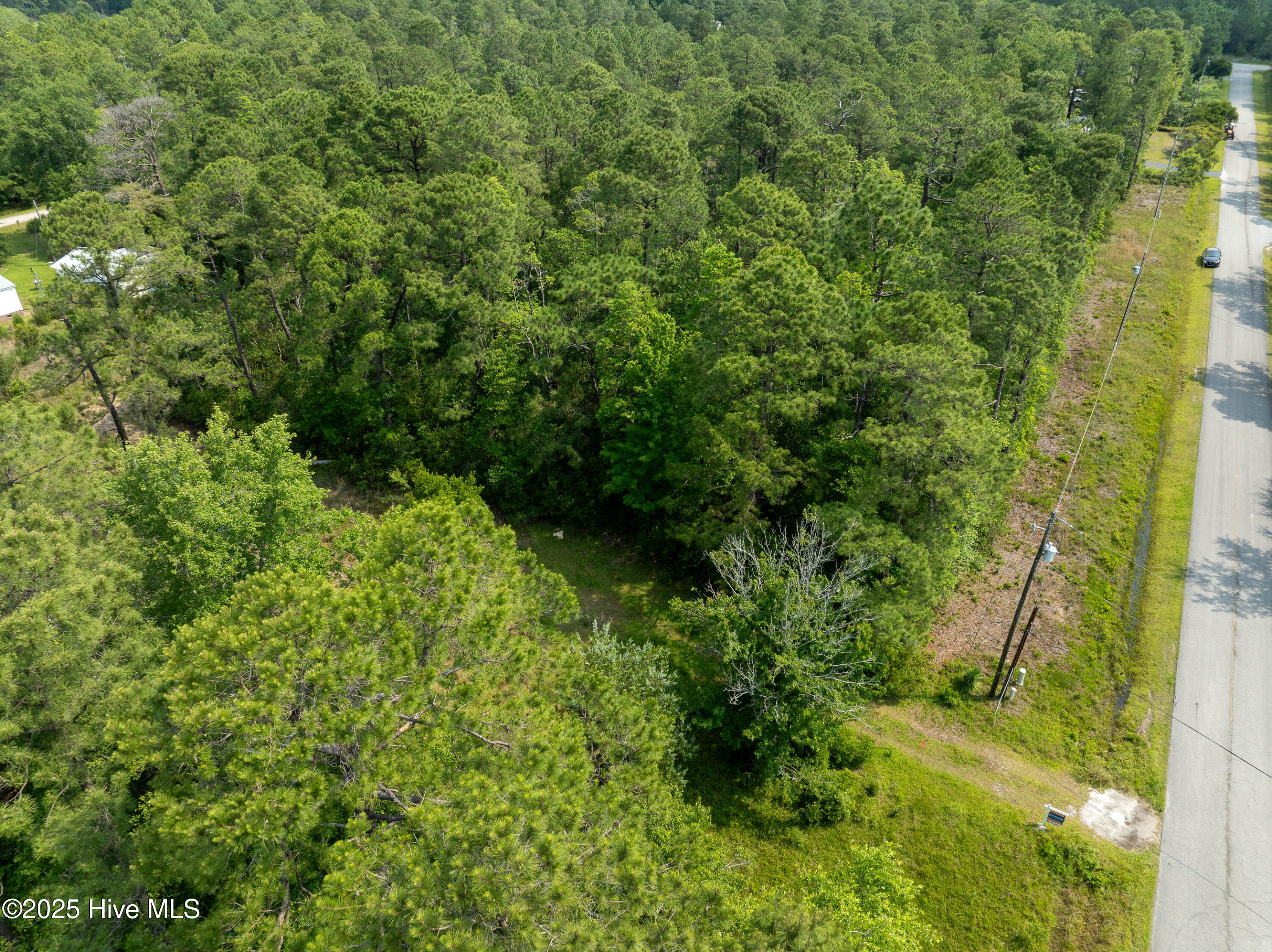 100510608 | Photo 11