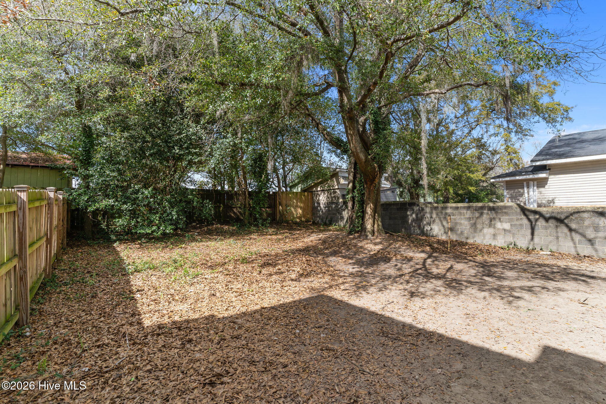 100556827 | Photo 33