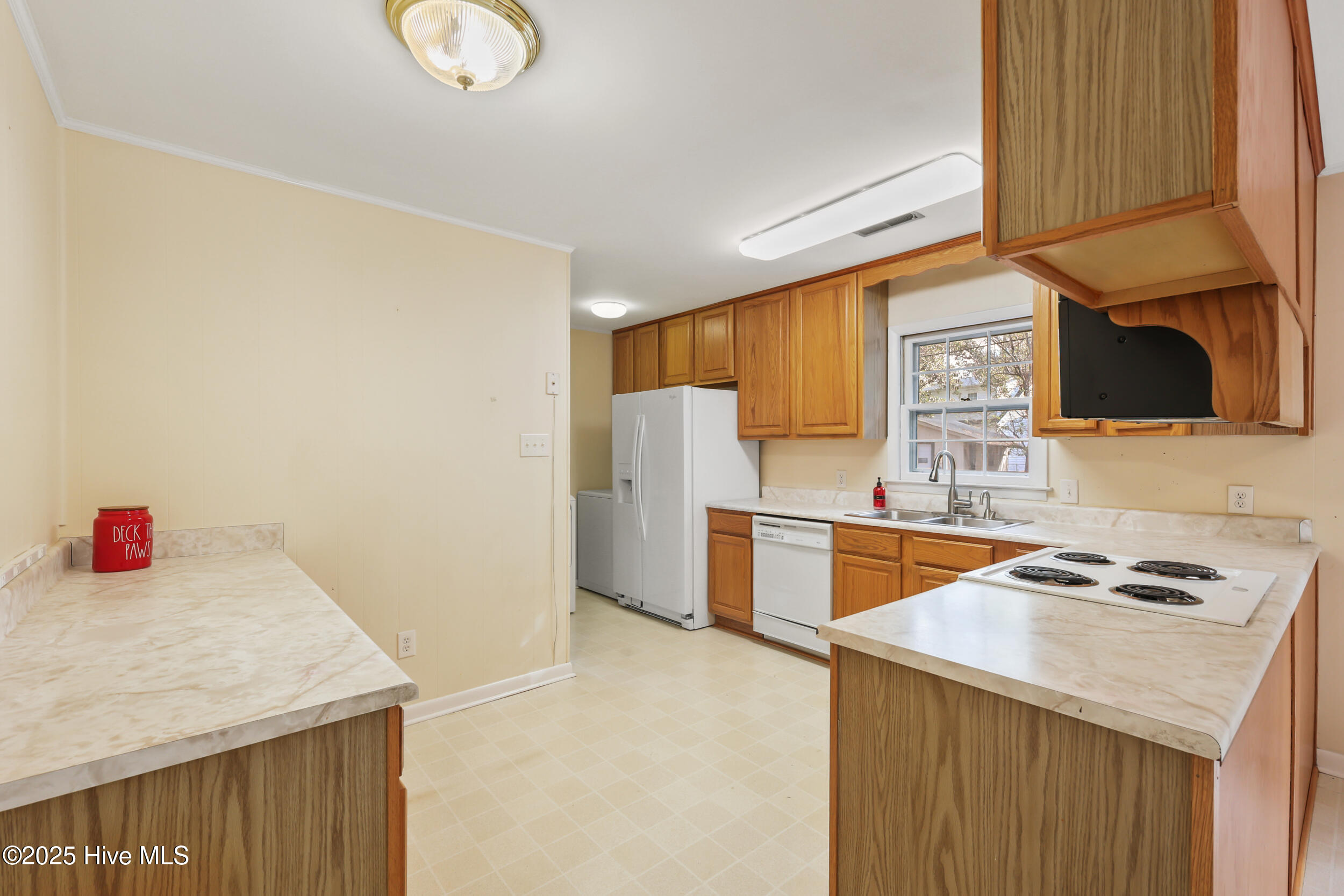 100533068 | Photo 27