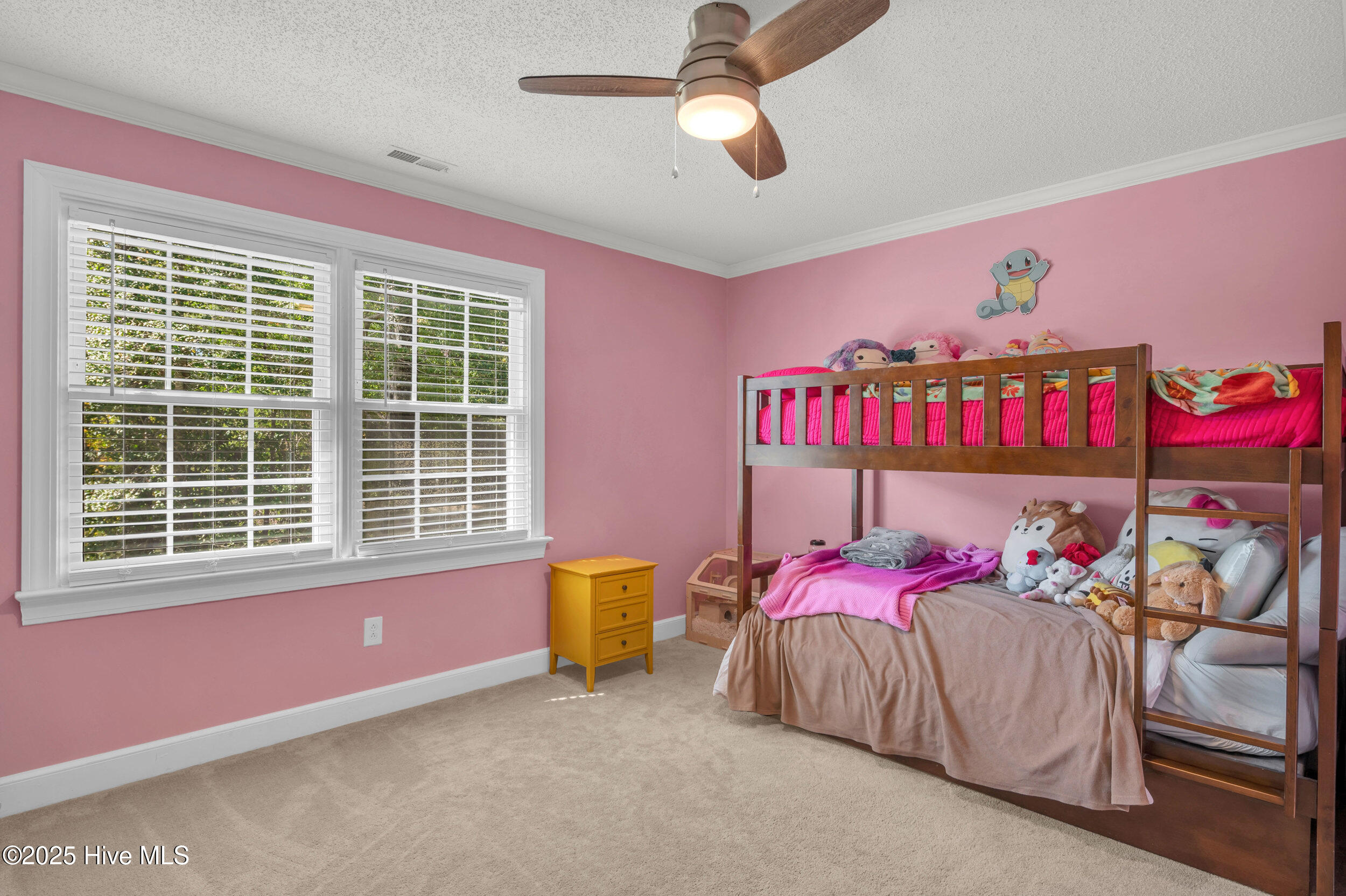 100537583 | Photo 31