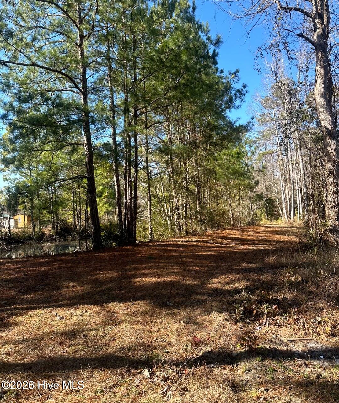 100550417 | Photo 52