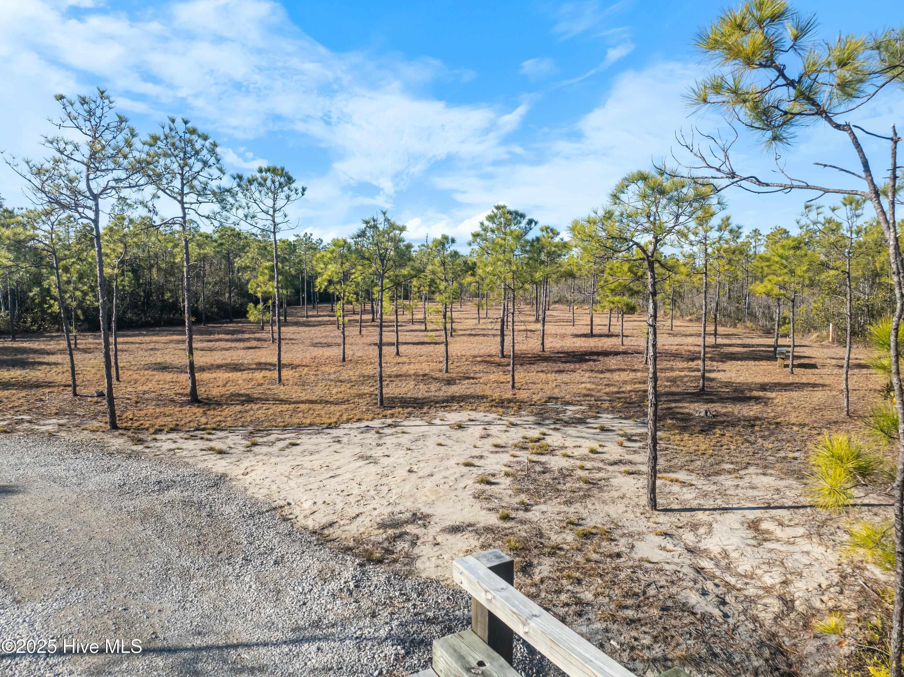 100490322 | Photo 22