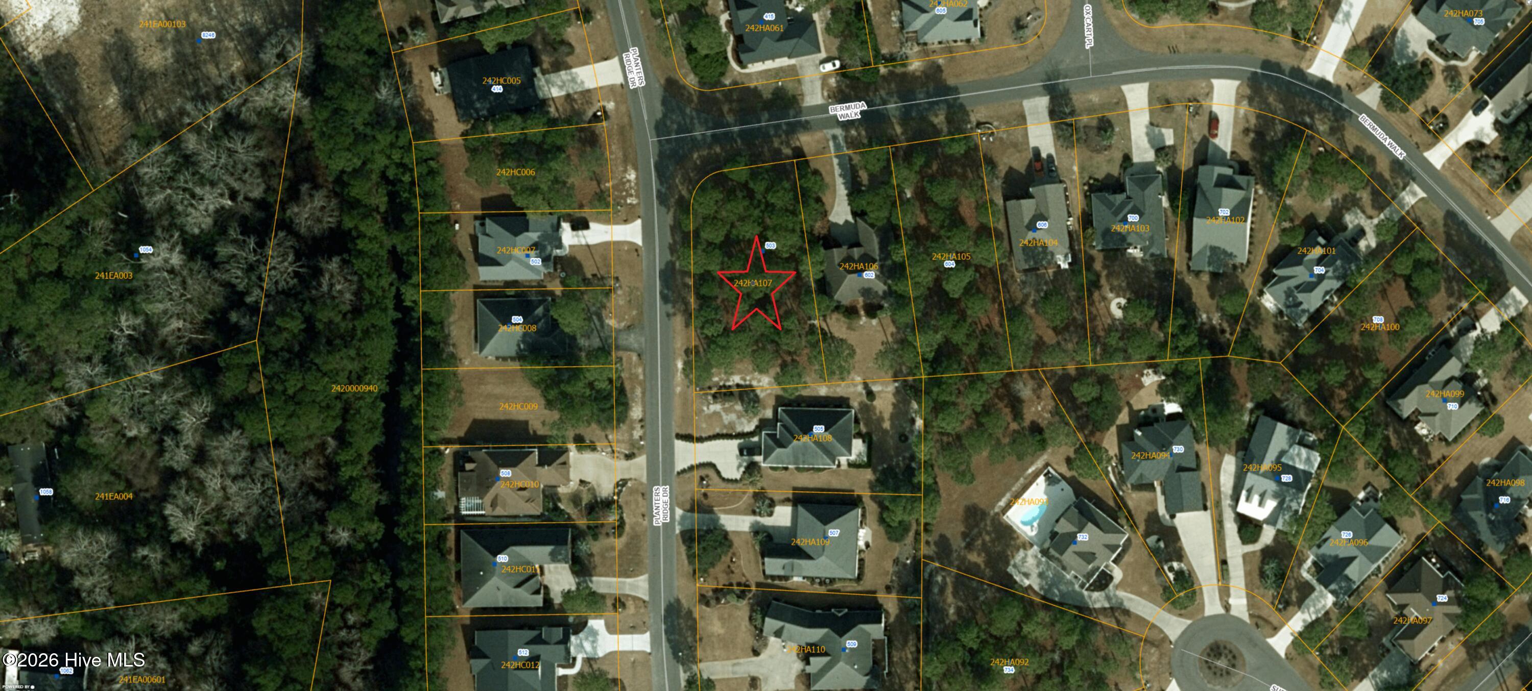 100559665 | Photo 41