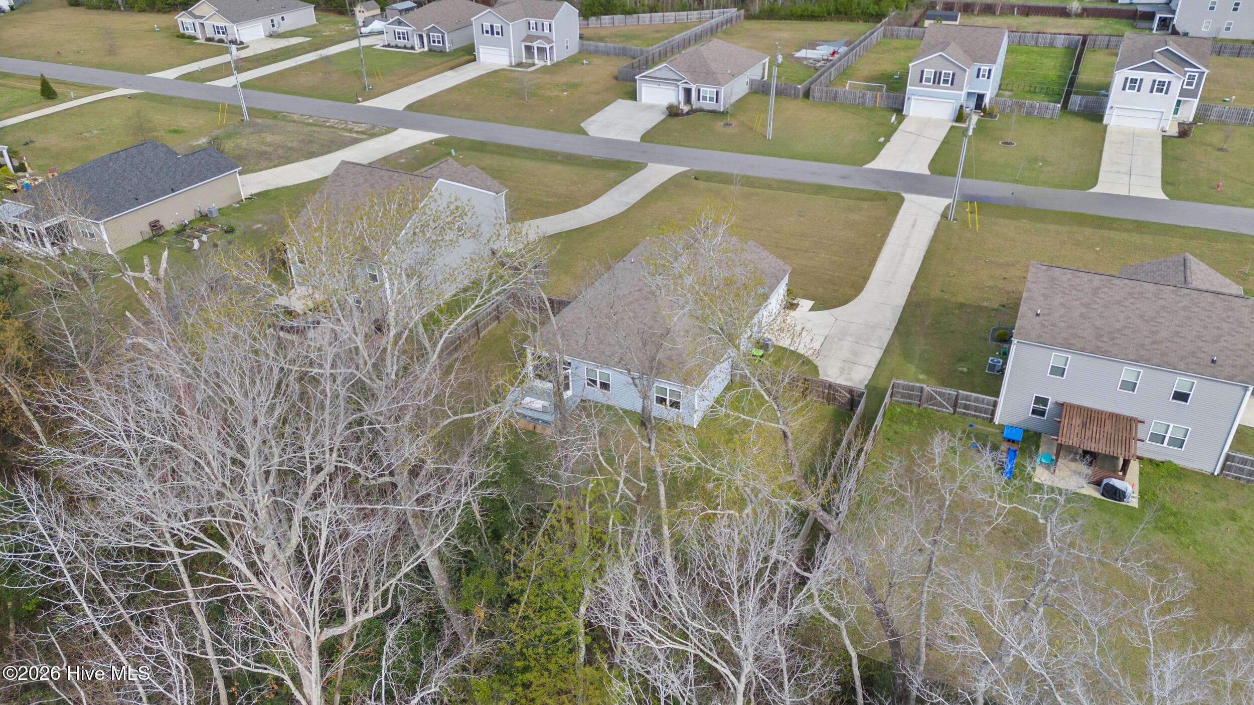 100561982 | Photo 39