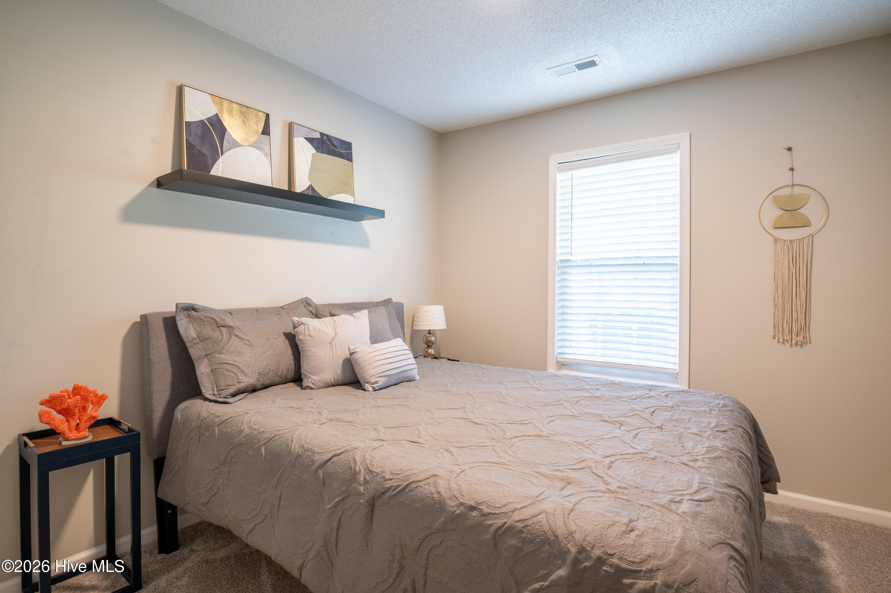 100553857 | Photo 15