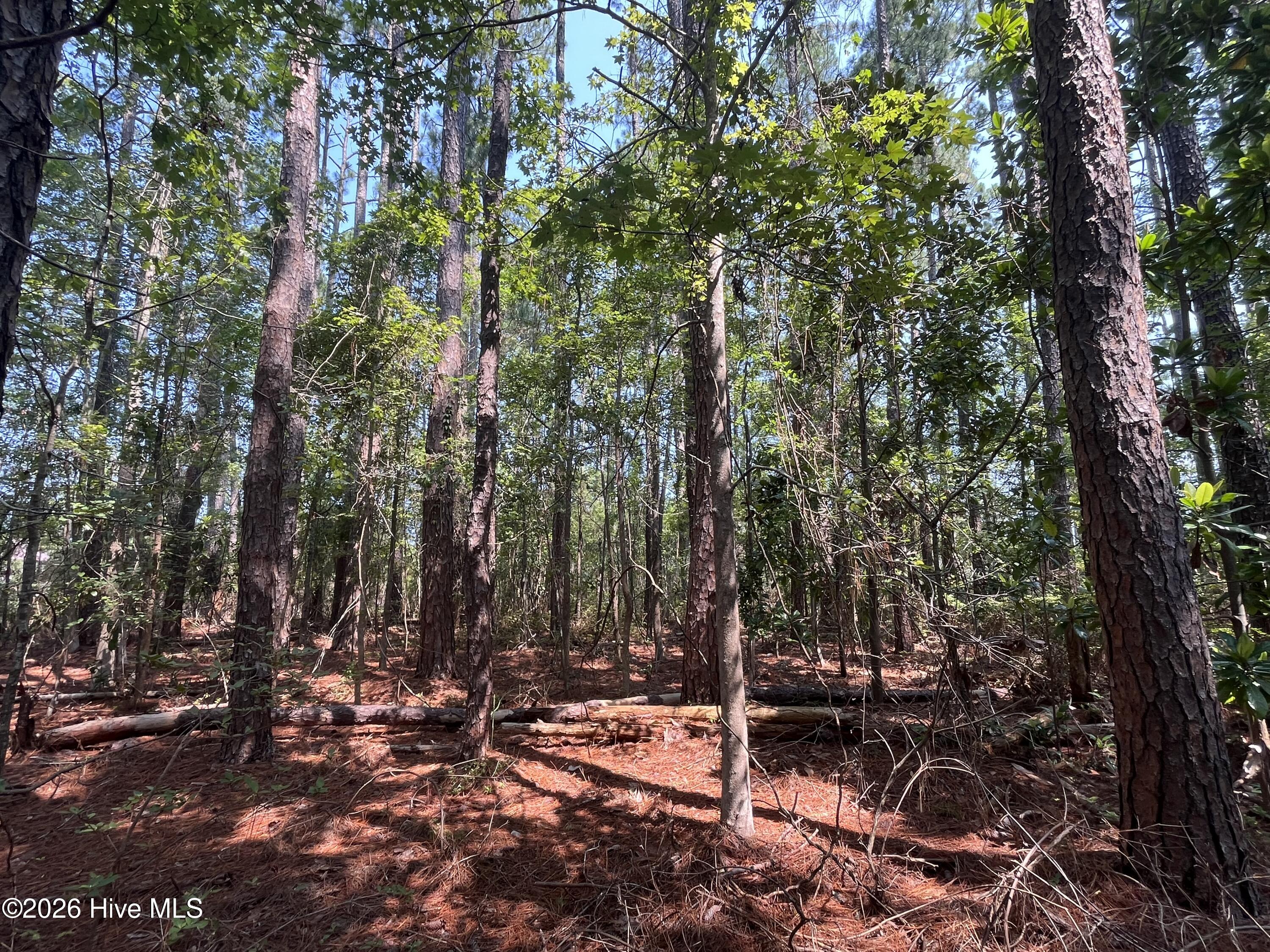 94 Whortonsville Road,Merritt