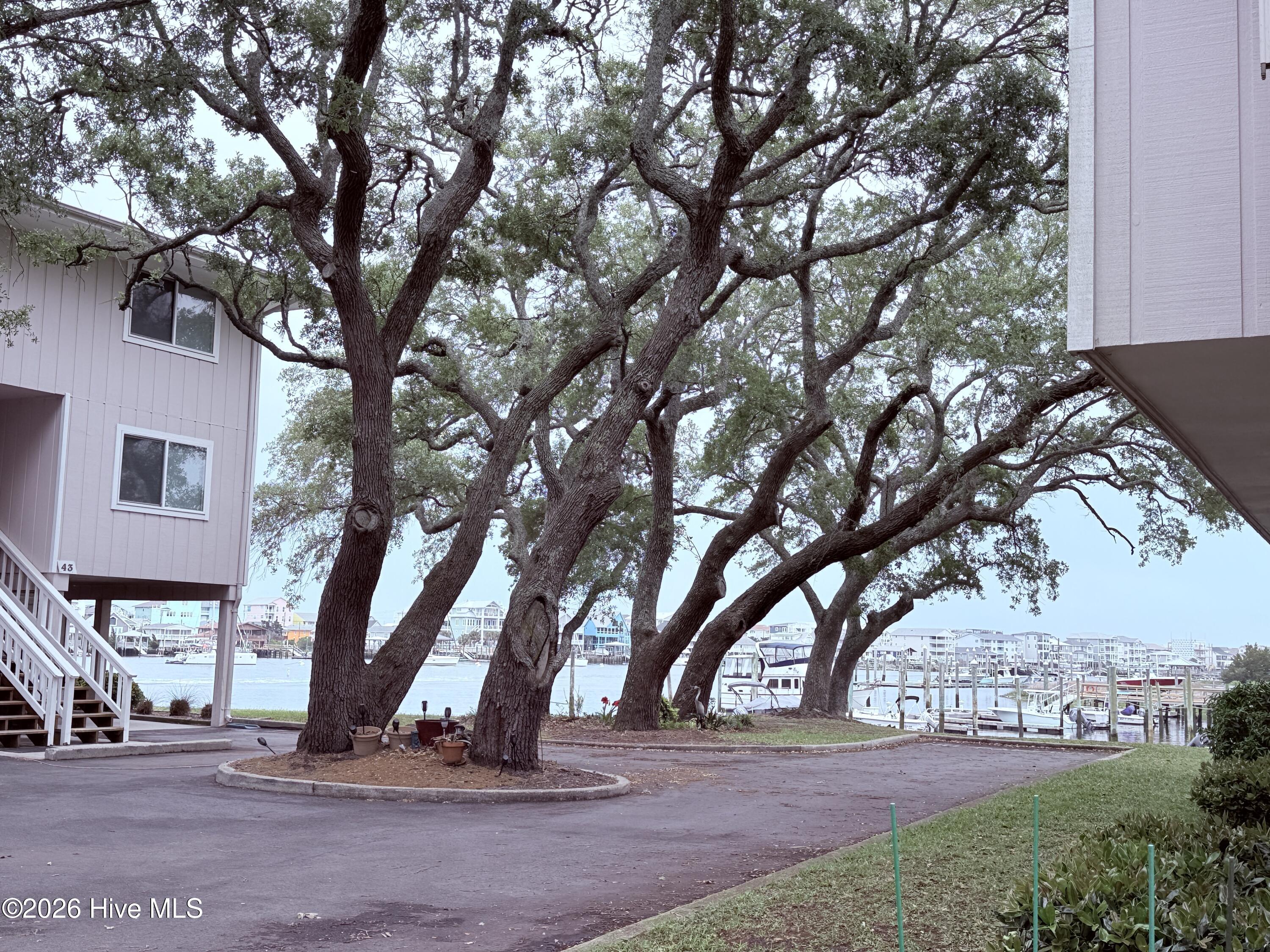 100570413 | Photo 54