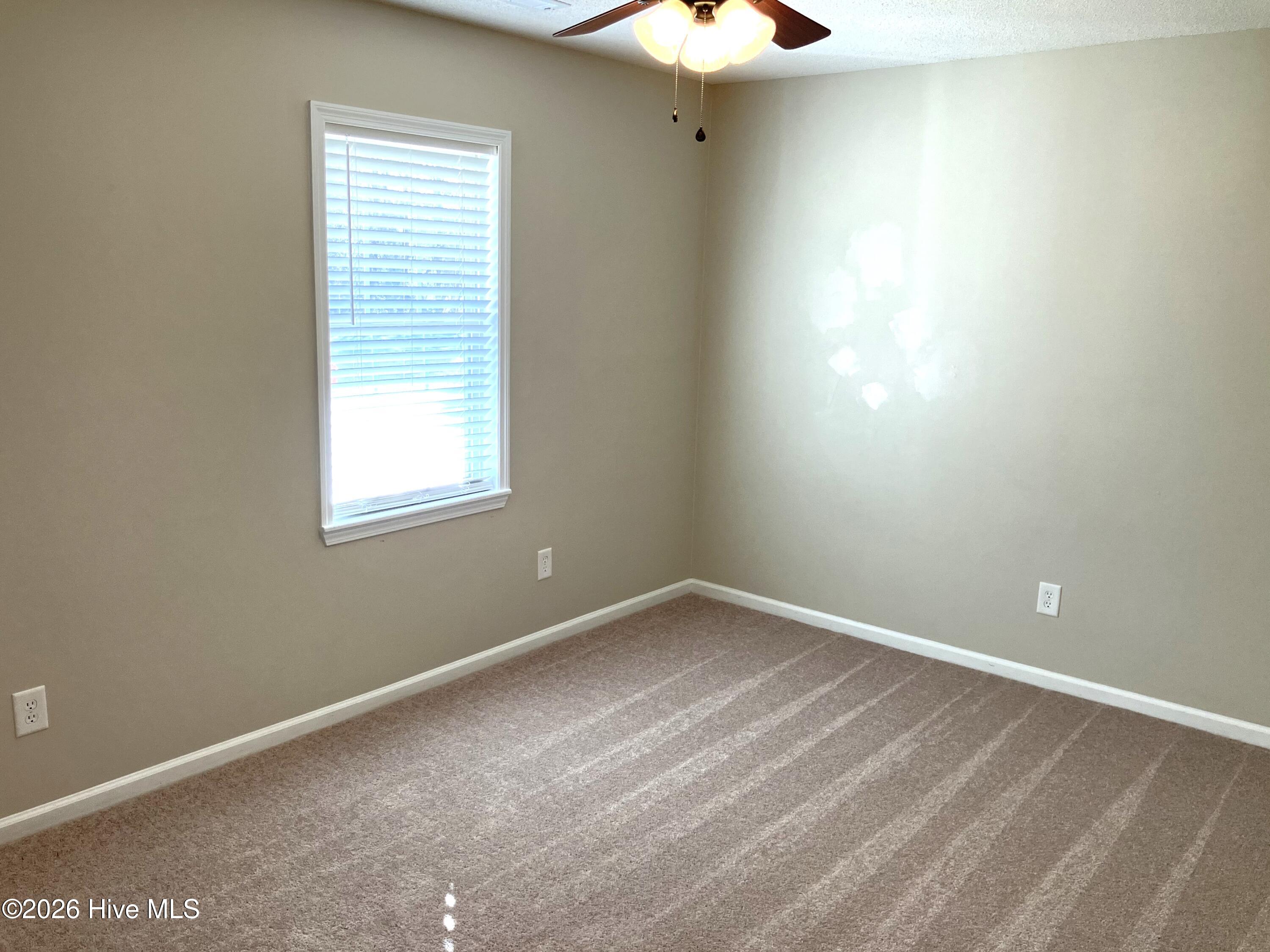 100555238 | Photo 19