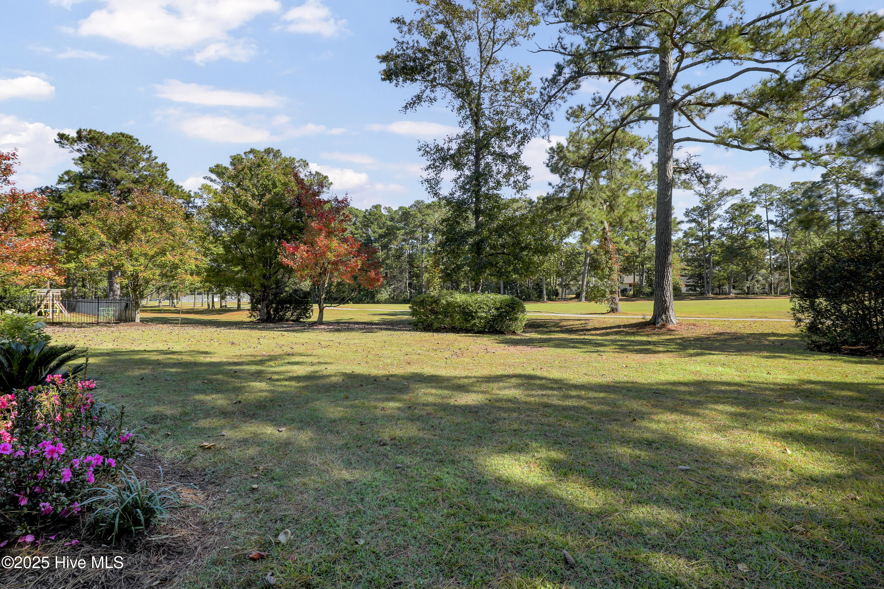 100539078 | Photo 28