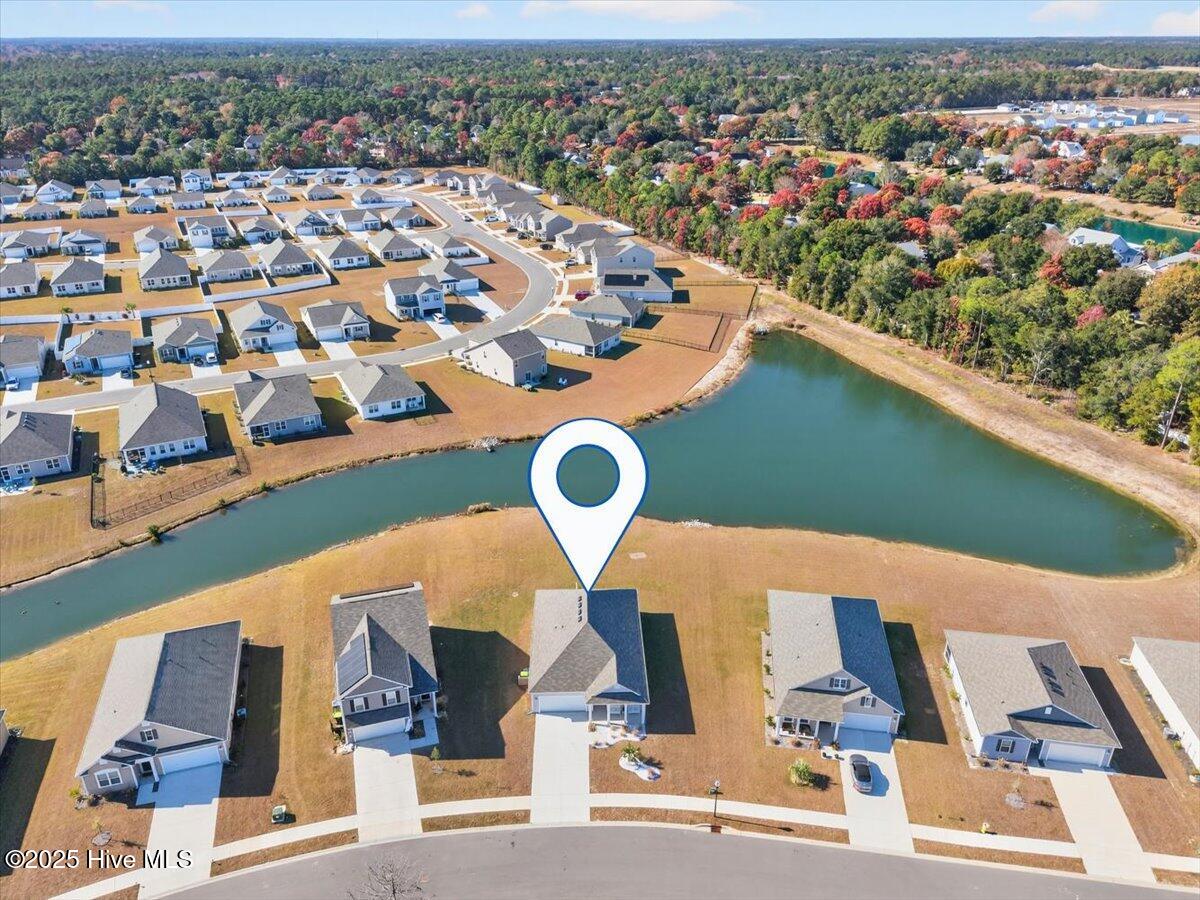 100542039 | Photo 39