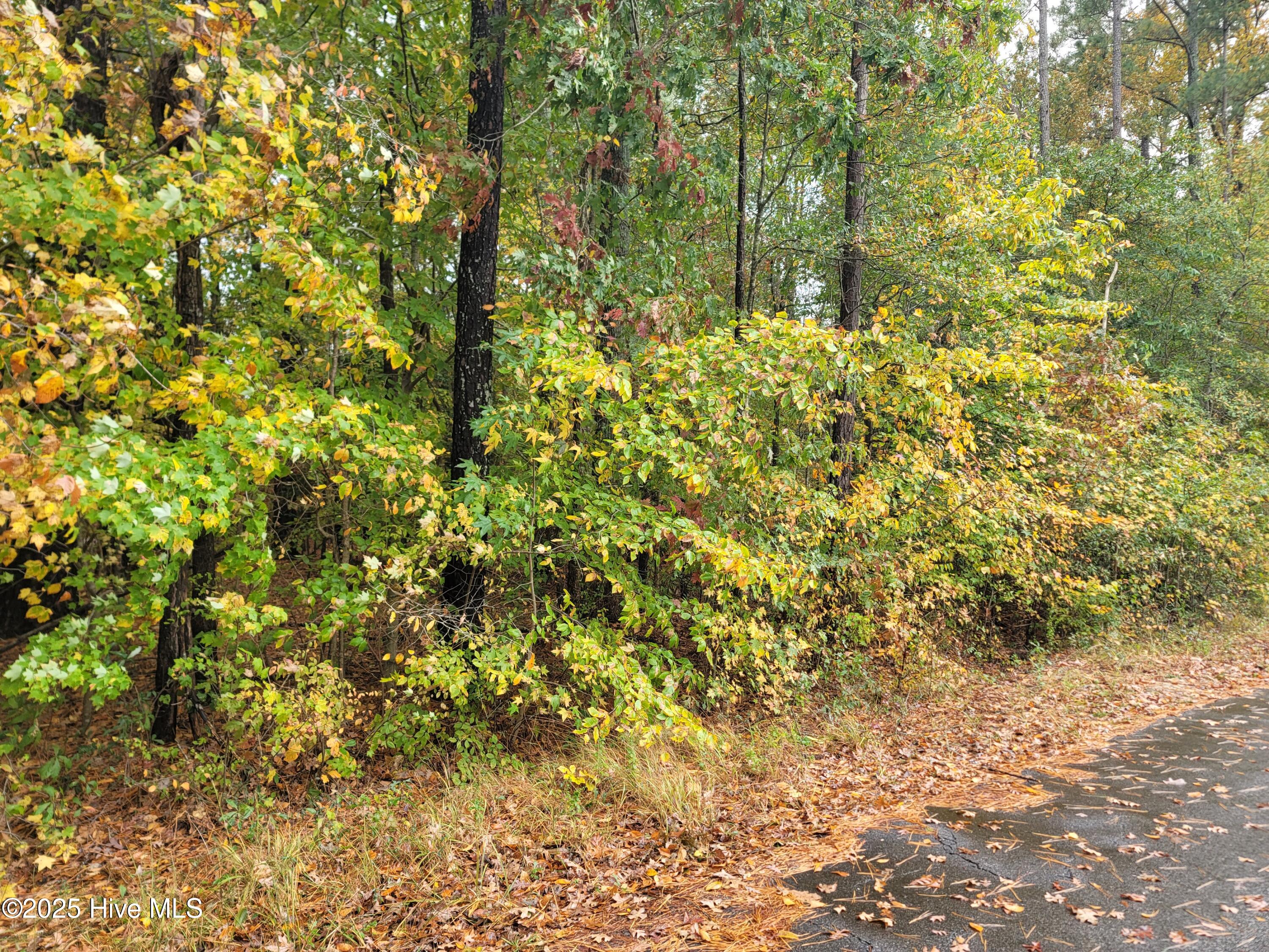 Lot UNIT&nbsp;17 Dogwood Trail, Elizabeth City, NC, 27909