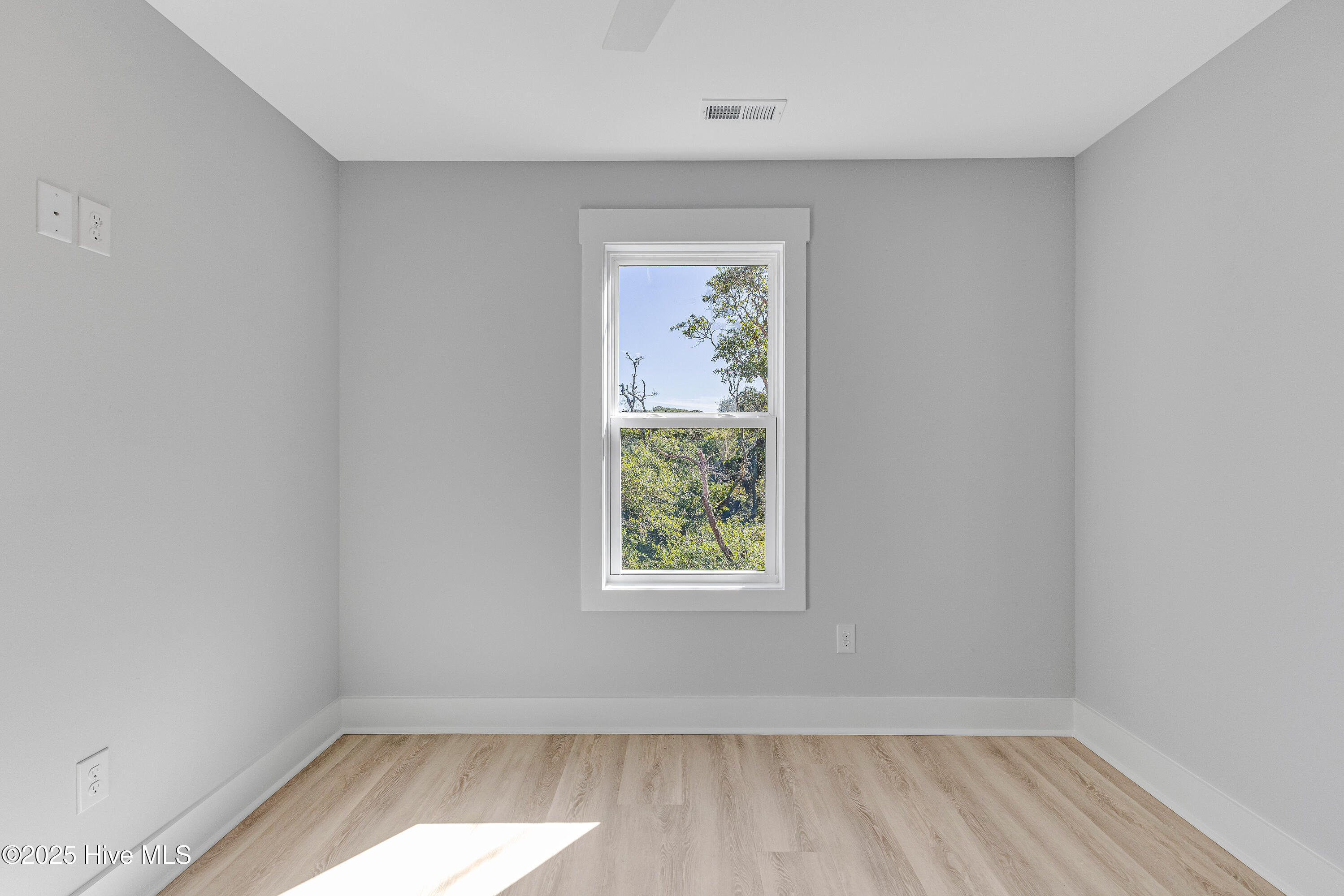 100535613 | Photo 24