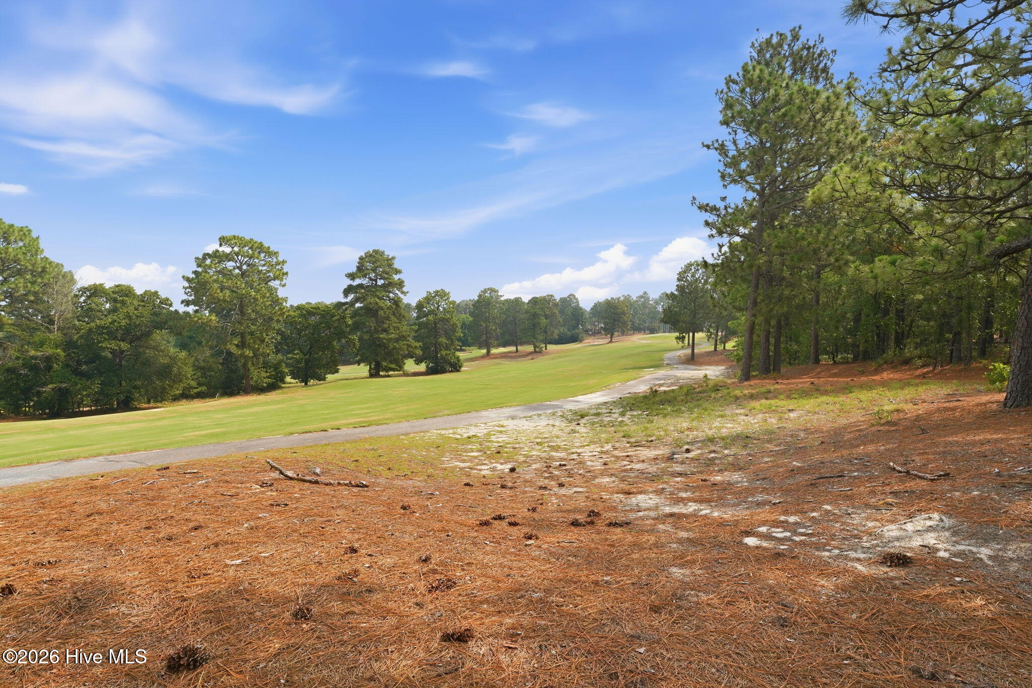 Foxfire Golf Course fairway view from the backyard