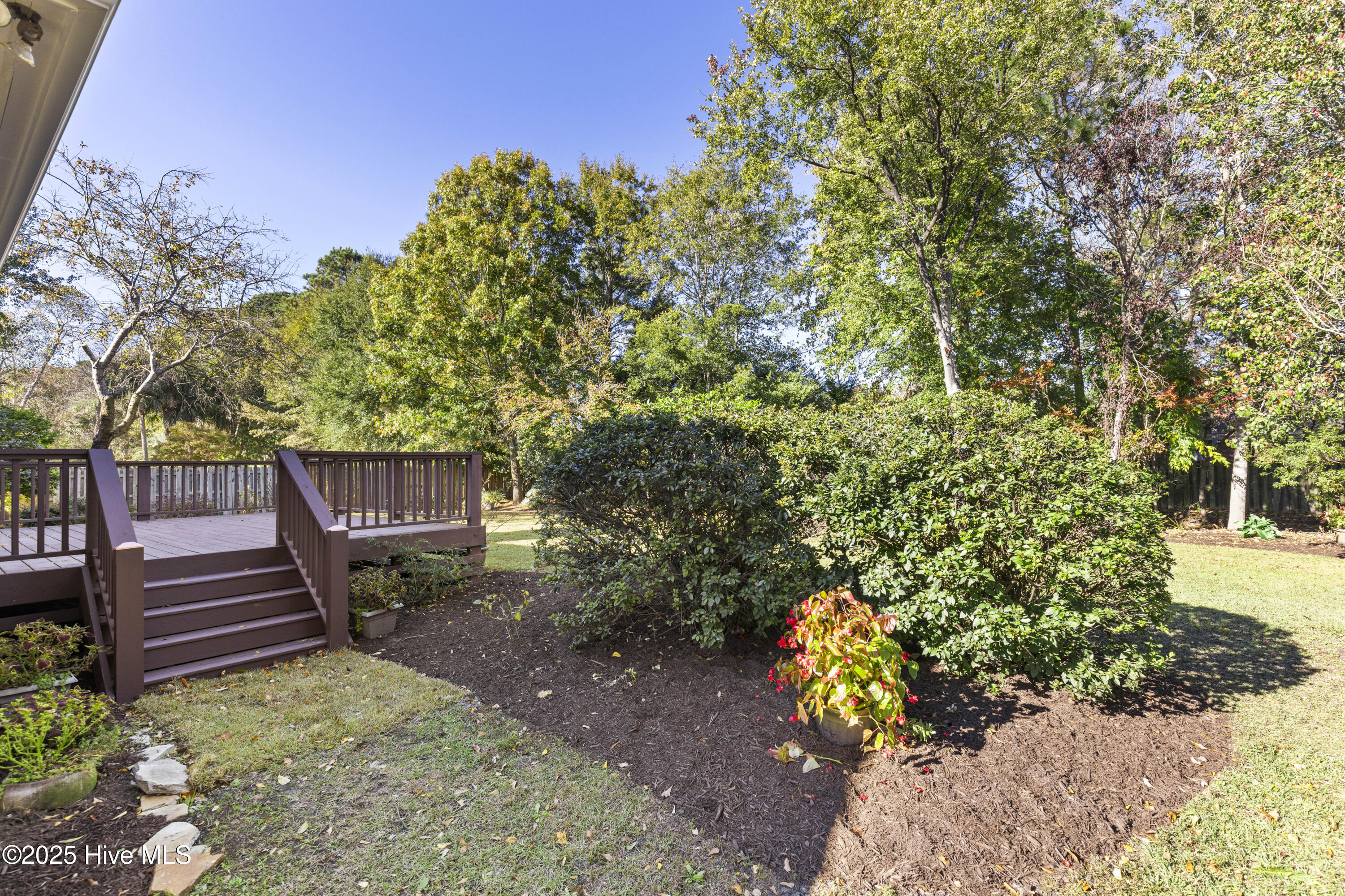 100539771 | Photo 47