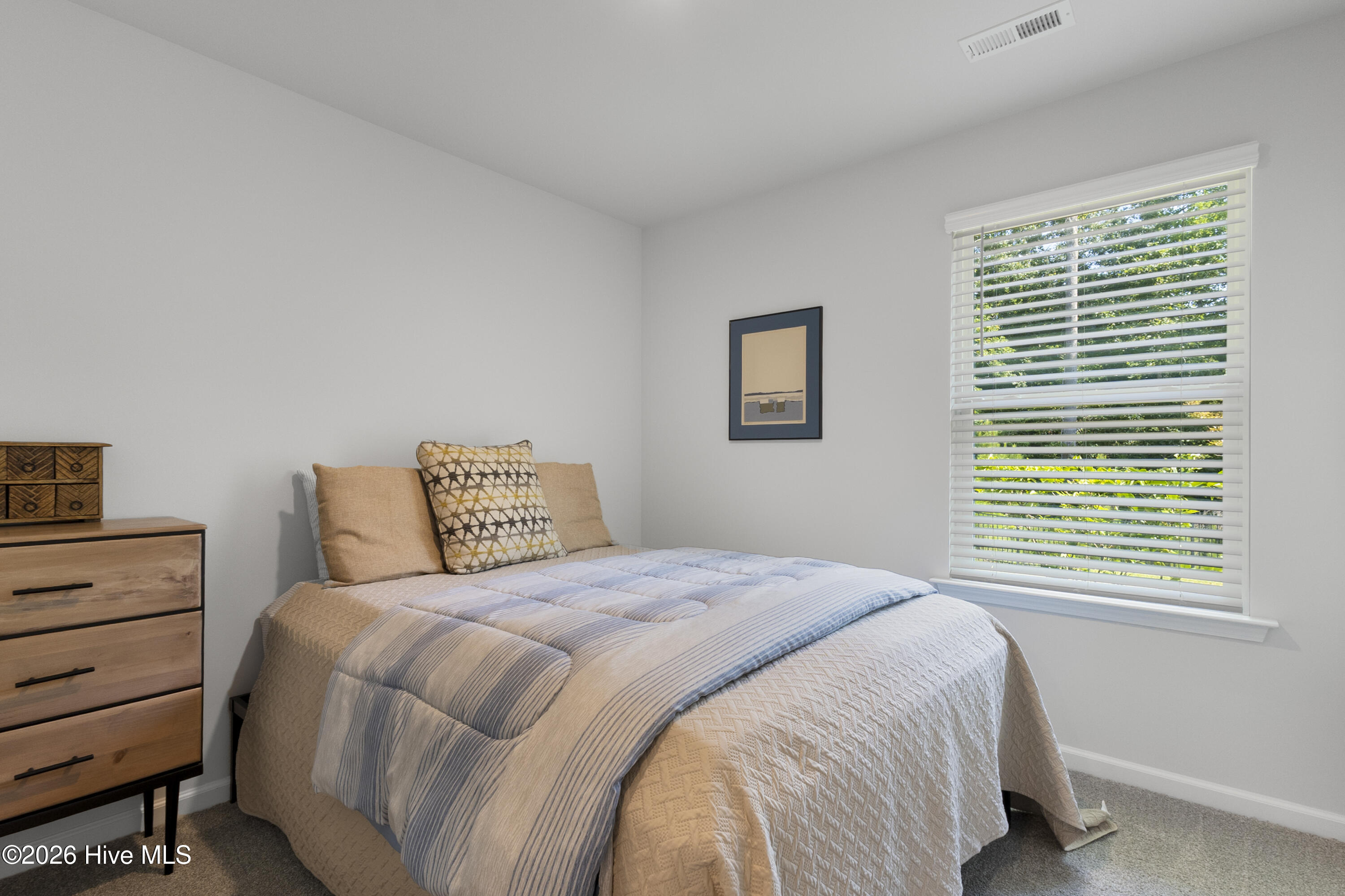 100588497 | Photo 24